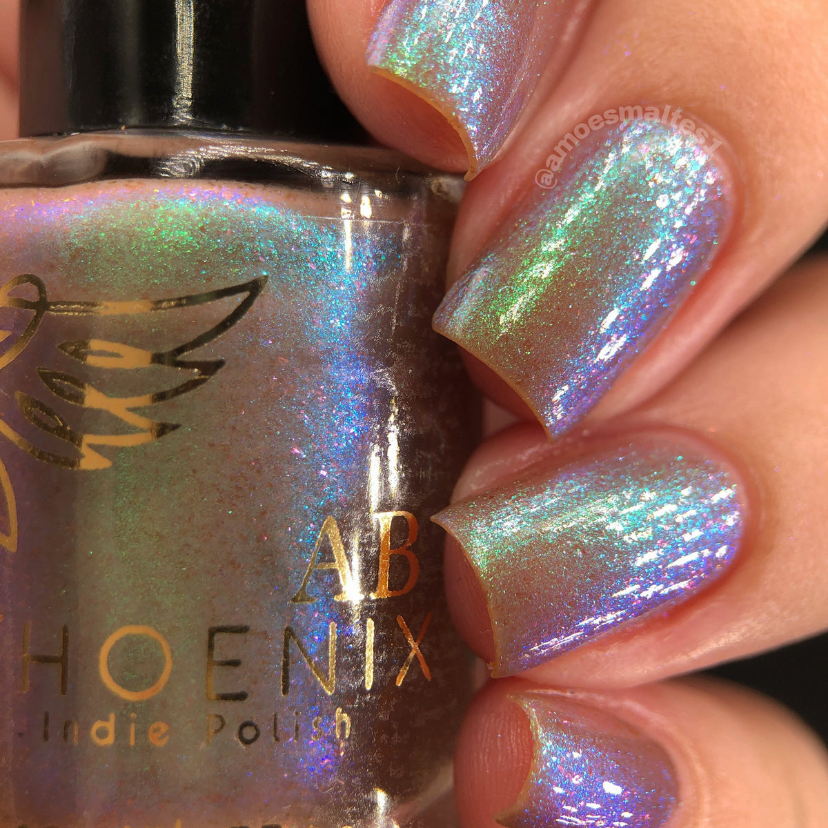 Phoenix- Paint the Town Red- Stefan