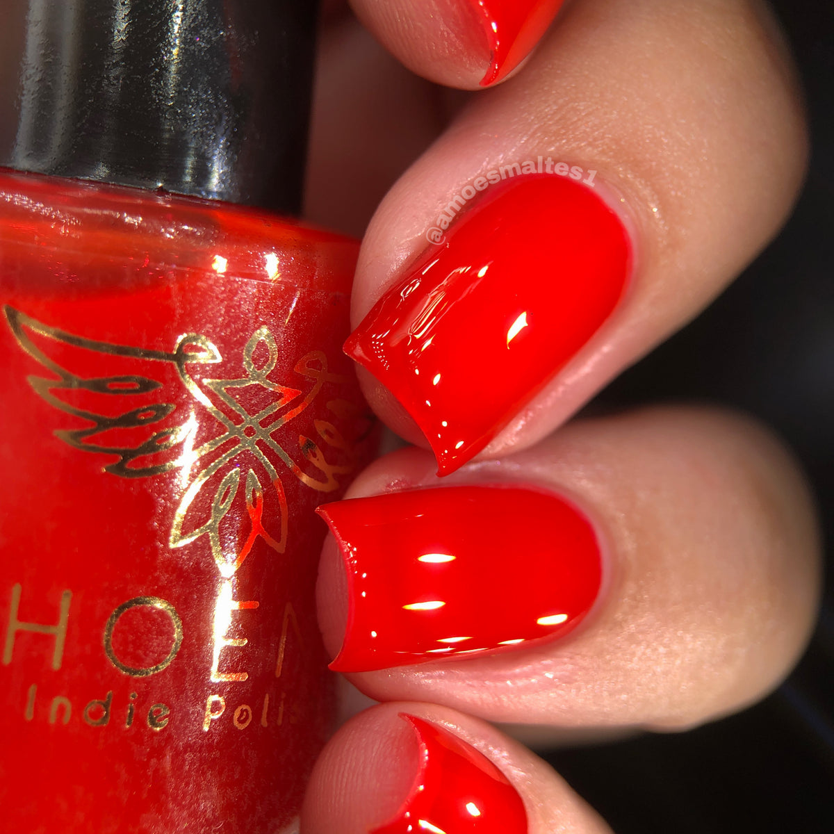 Phoenix- Blood and Fire- Rhaenys