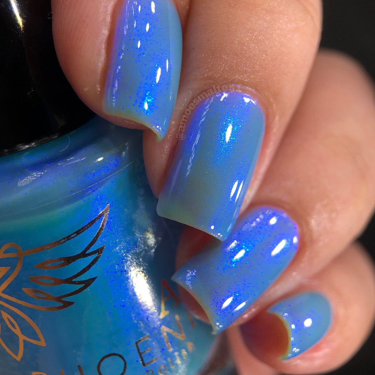 Phoenix- Paint the Town Red- Damon