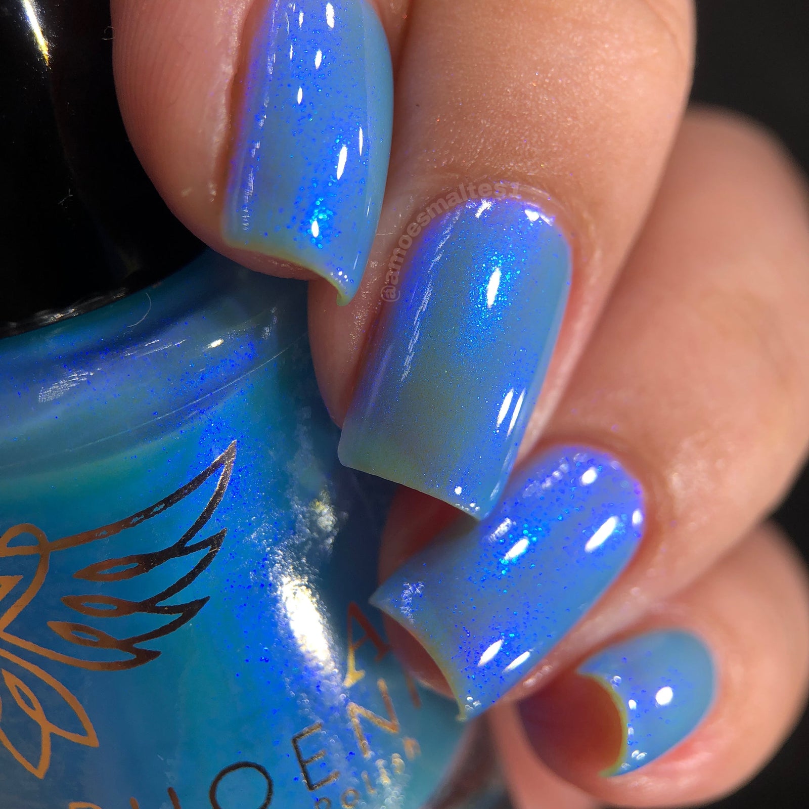 Phoenix- Paint the Town Red- Damon