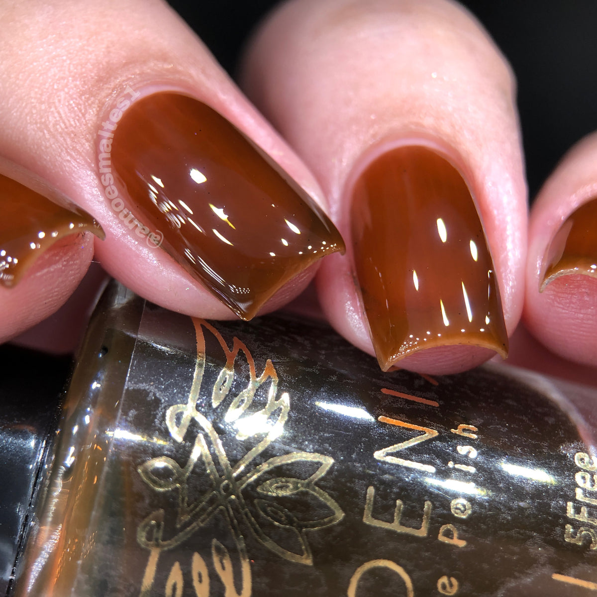 Phoenix- Blood and Fire- Daenerys