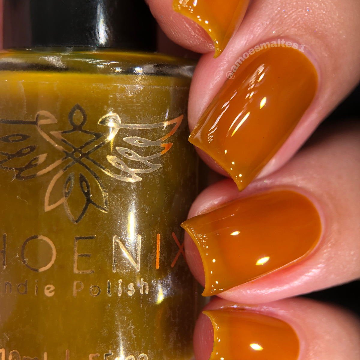 Phoenix- Blood and Fire- Rhaenyra