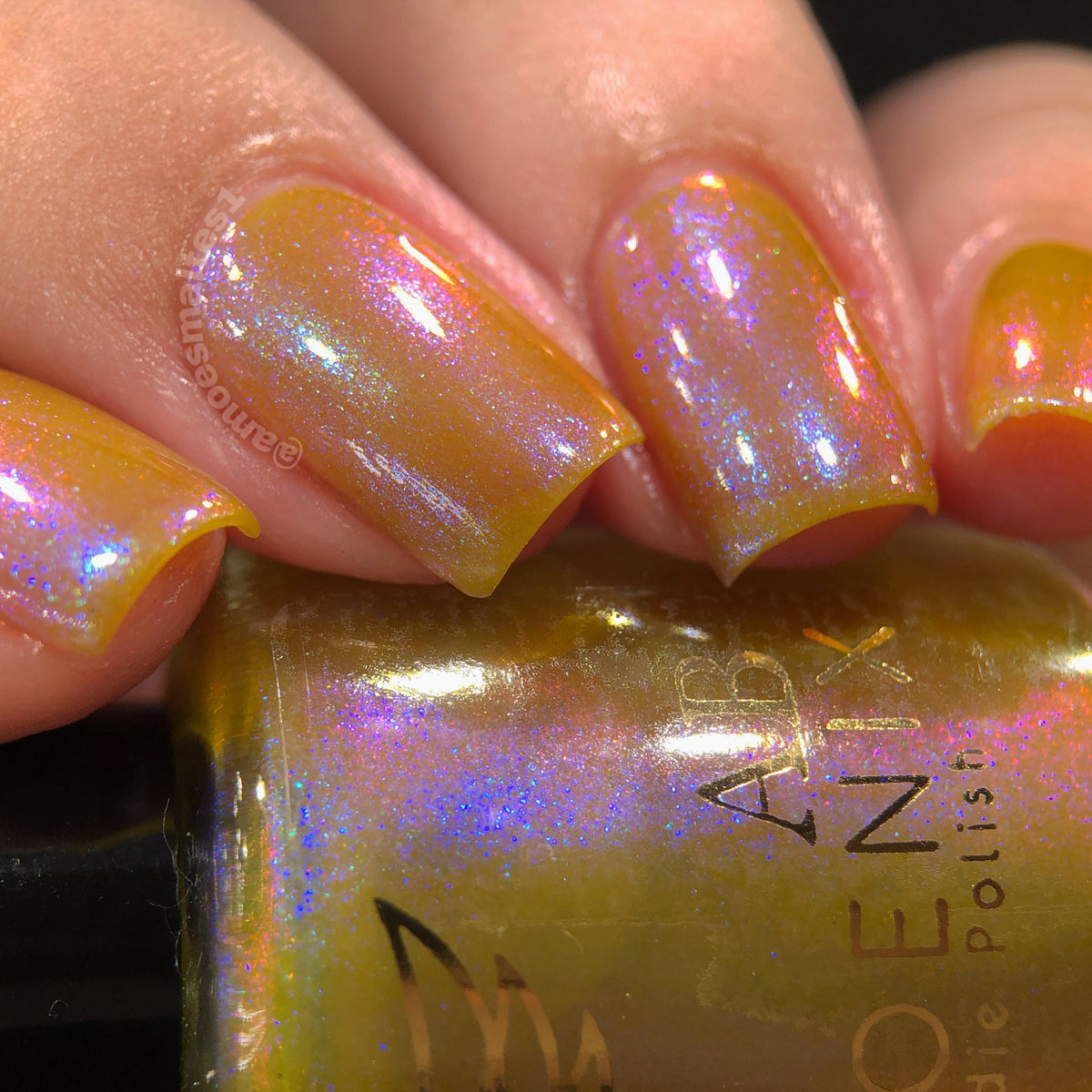 Phoenix- Paint the Town Red- Eric