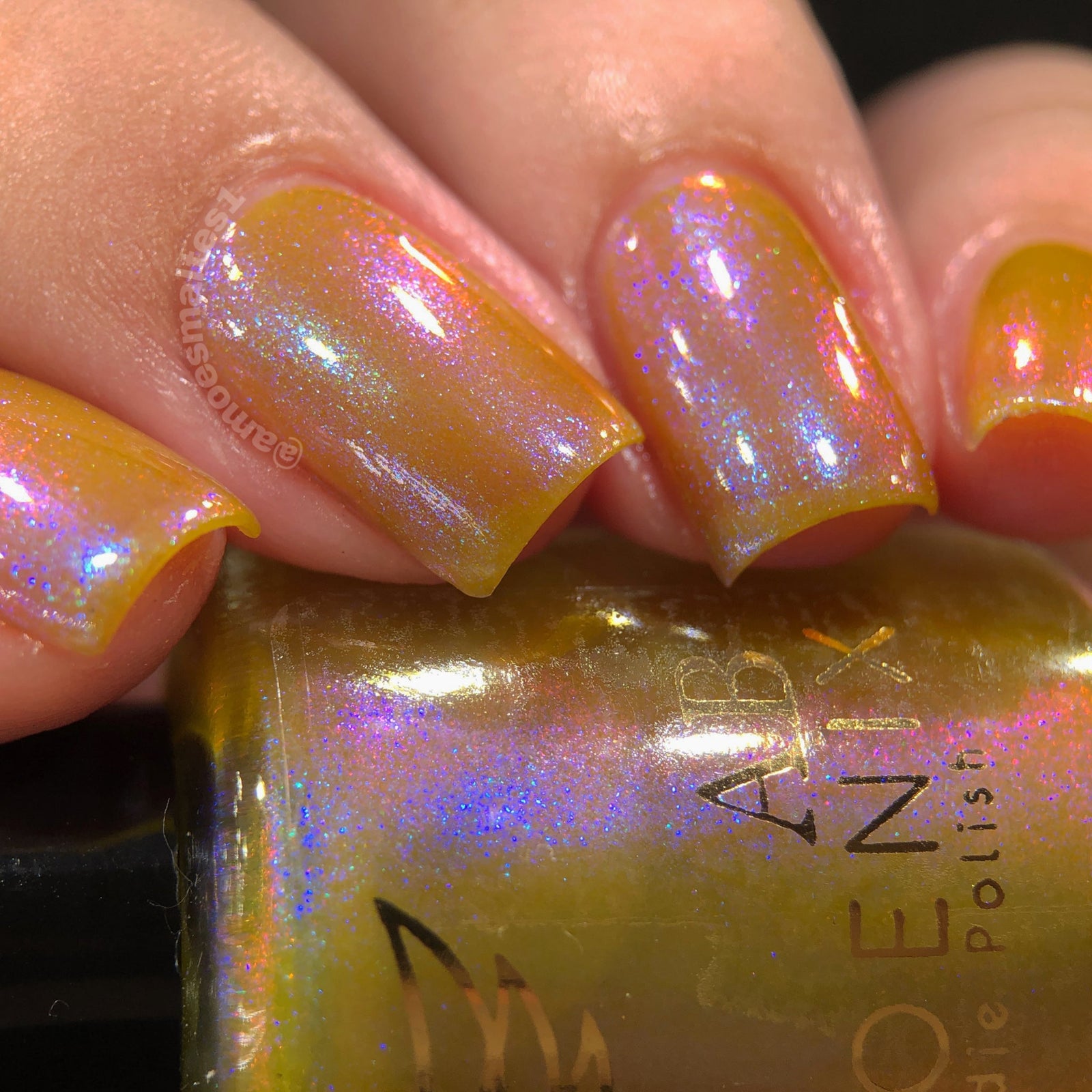 Phoenix- Paint the Town Red- Eric