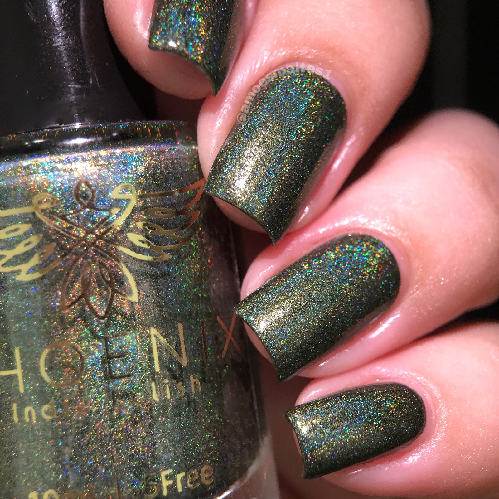 Phoenix- Blood and Fire- Vhagar