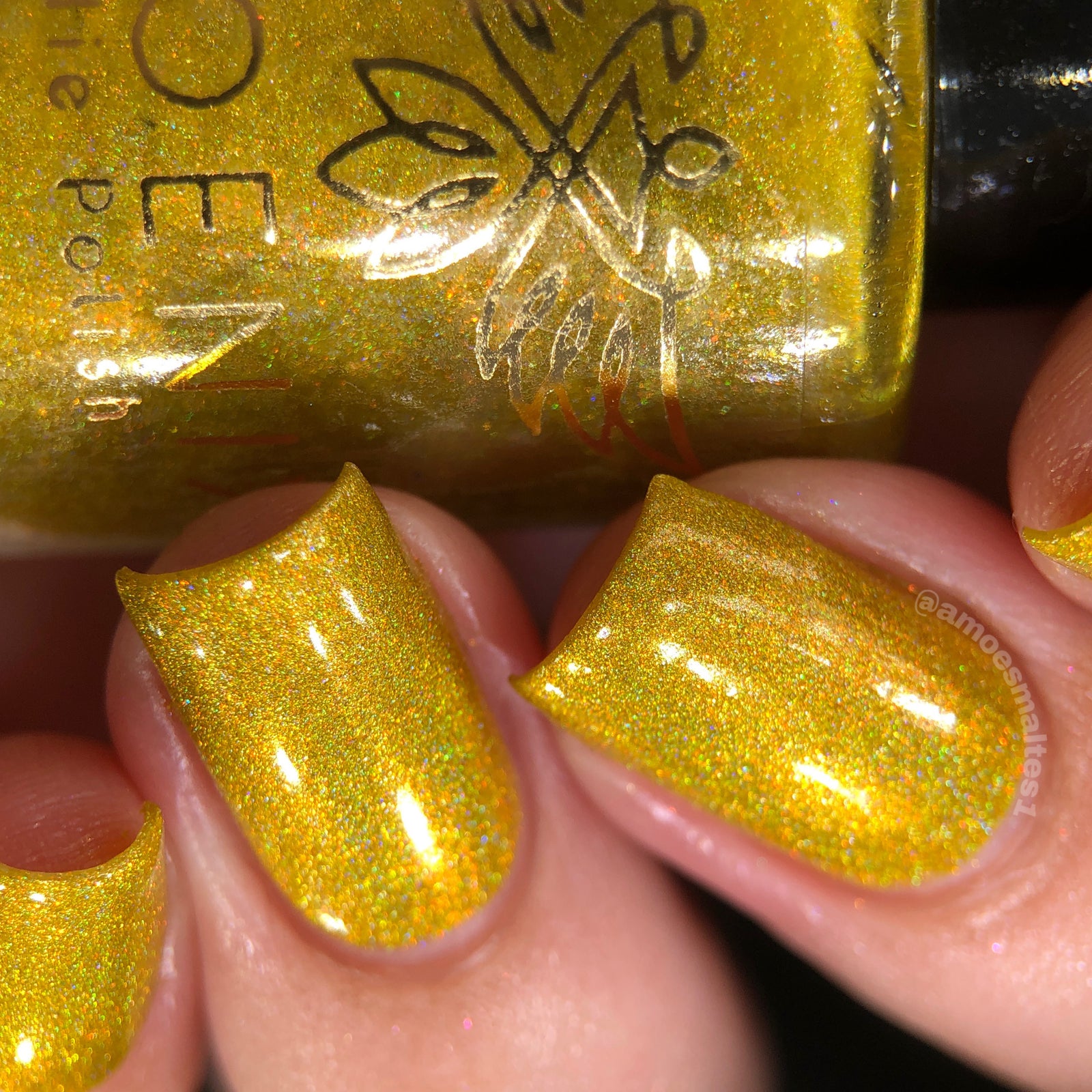 Phoenix- Blood and Fire- Sunfyre