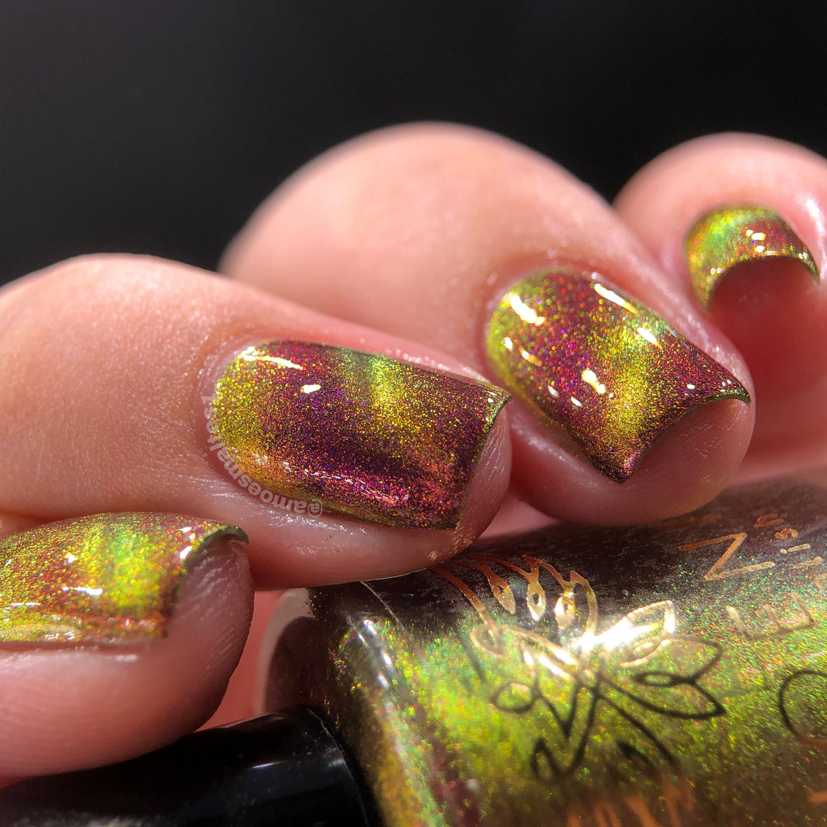 Phoenix- A Special Christmas- For Rocket