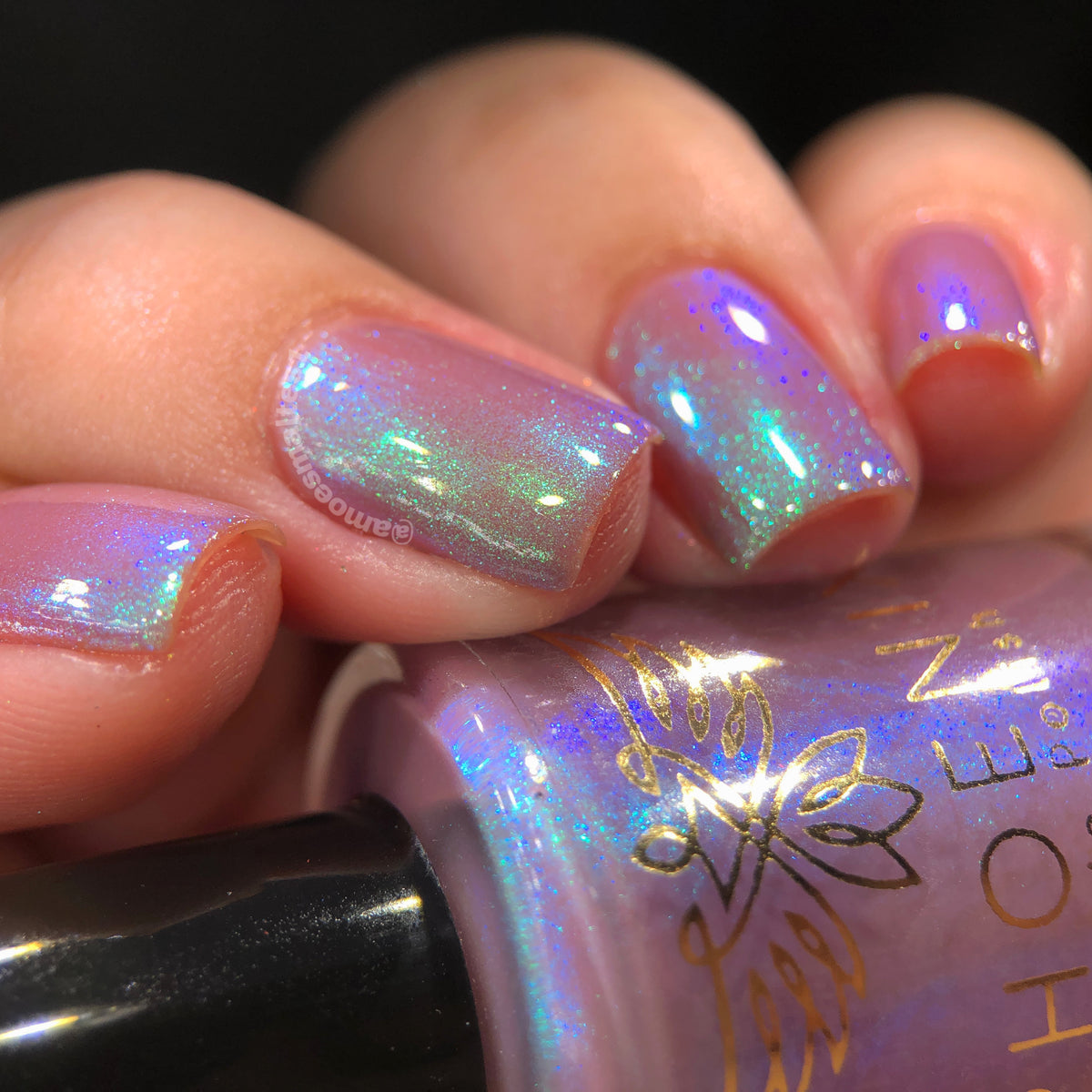 Phoenix- A Special Christmas- For Peter