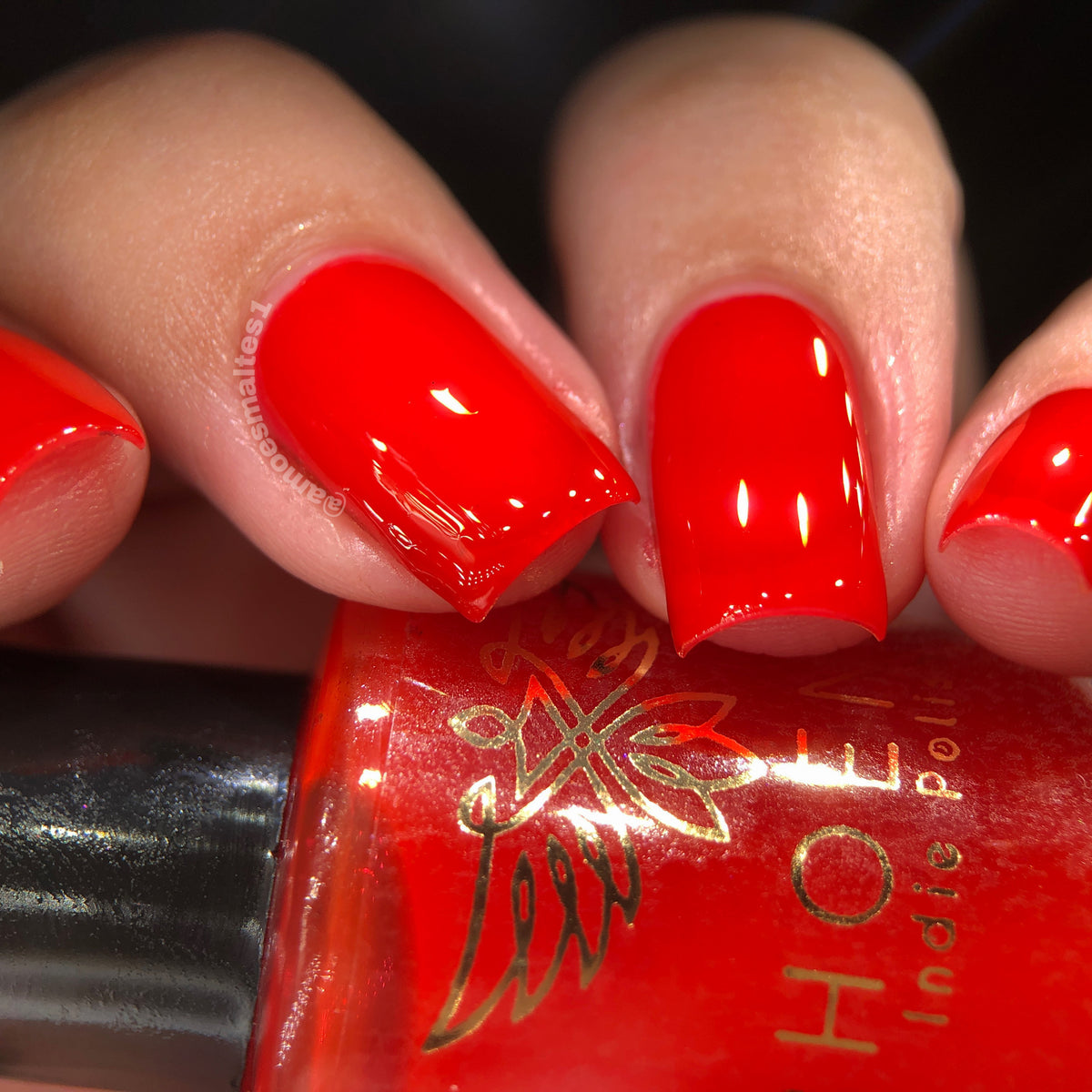 Phoenix- Blood and Fire- Rhaenys