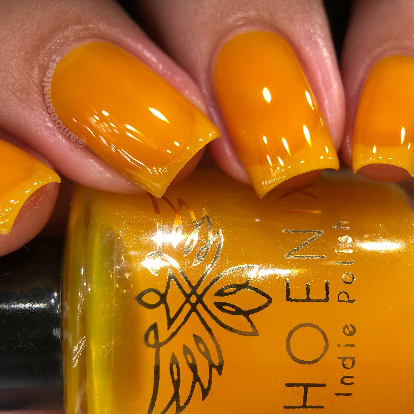 Phoenix- Blood and Fire- Aegon II