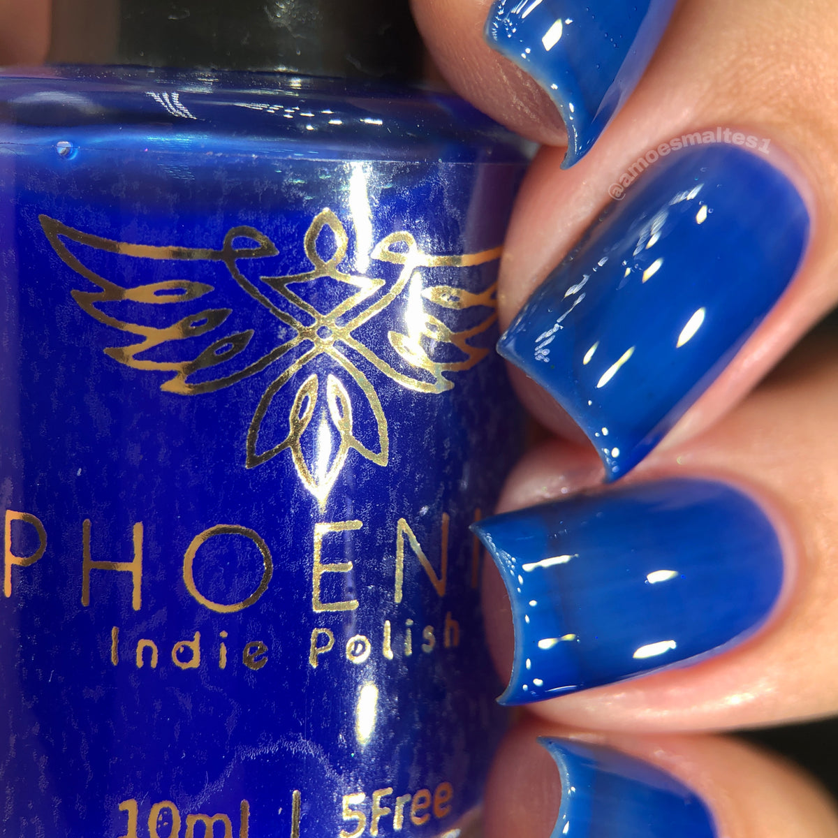 Phoenix- Blood and Fire- Night King