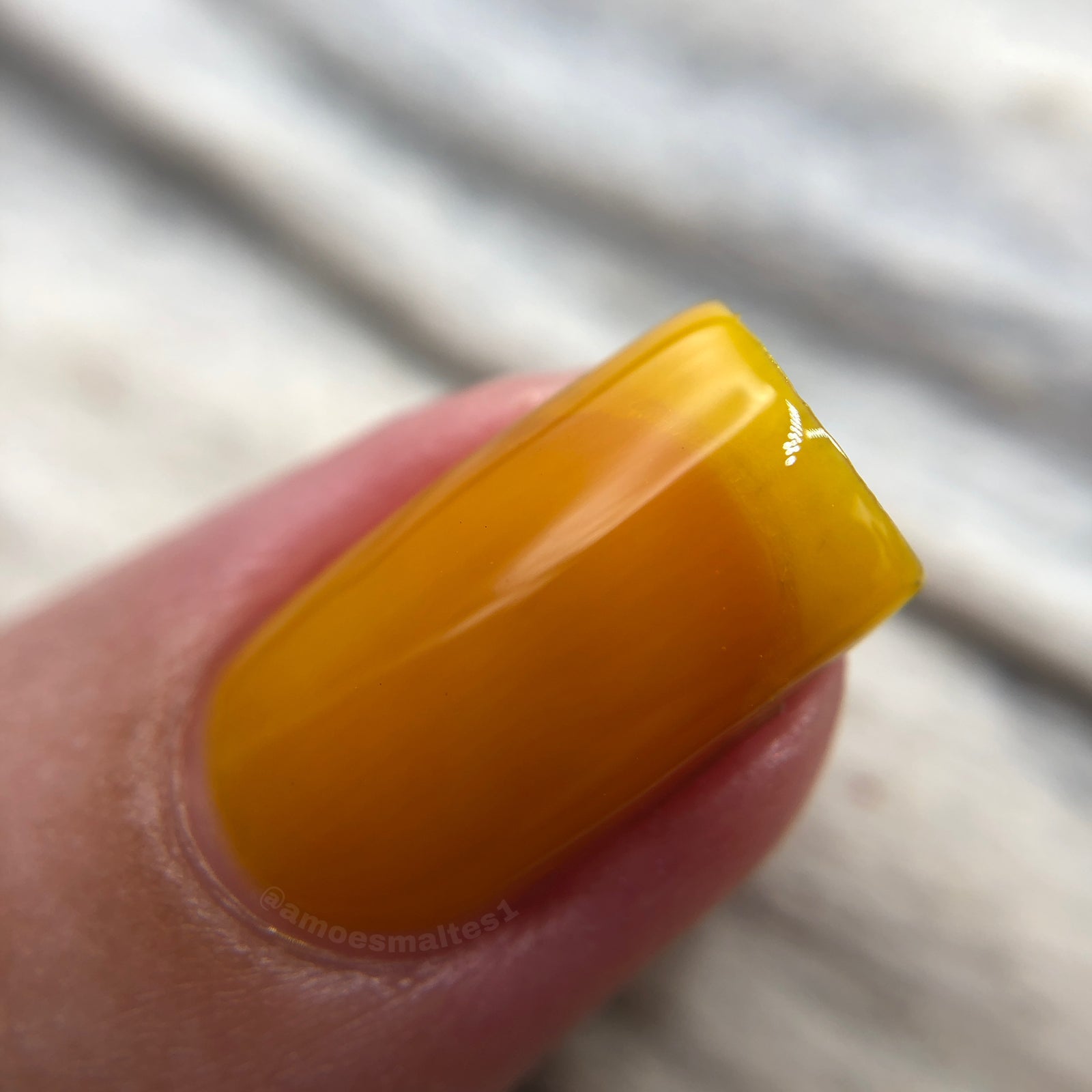 Phoenix- Blood and Fire- Aegon II