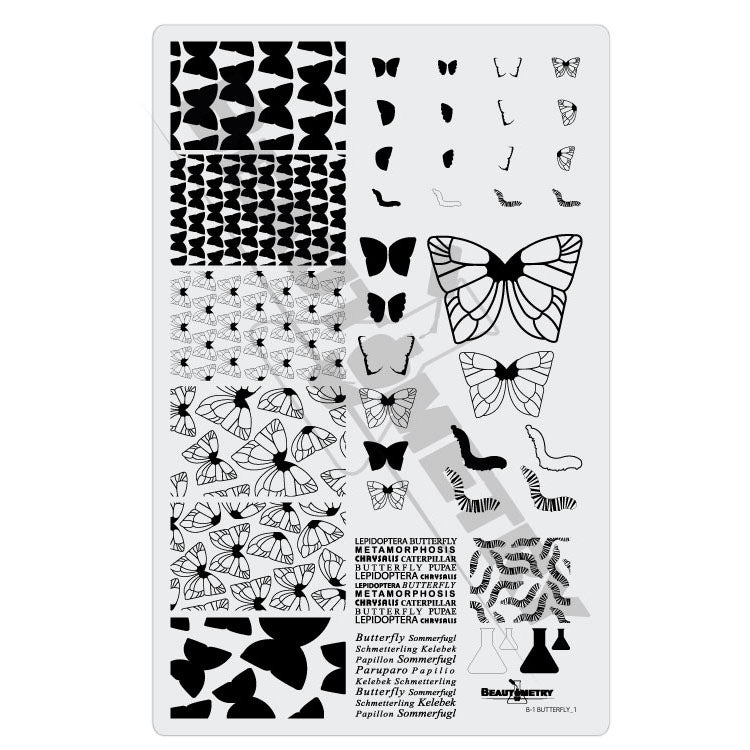 Beautometry Plates + 'Ard as Nails Polish Bundle