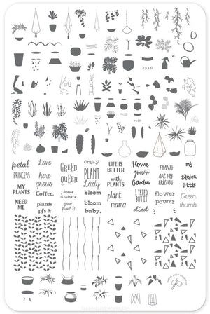 Clear Jelly Stamper- LC-07- Crazy Plant Lady