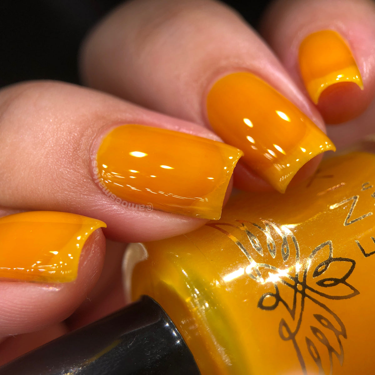 Phoenix- Blood and Fire- Aegon II