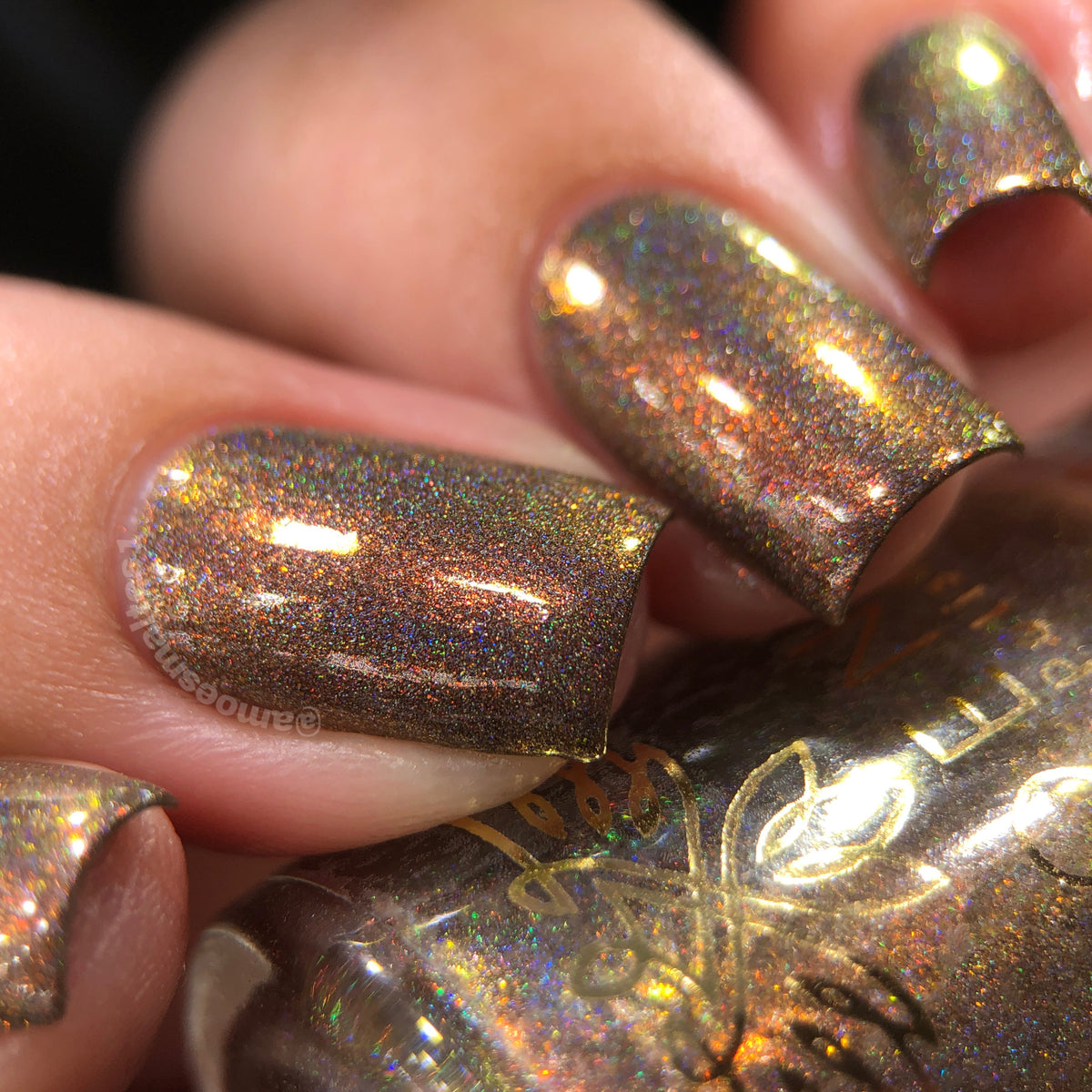 Phoenix- Blood and Fire- Vermithor