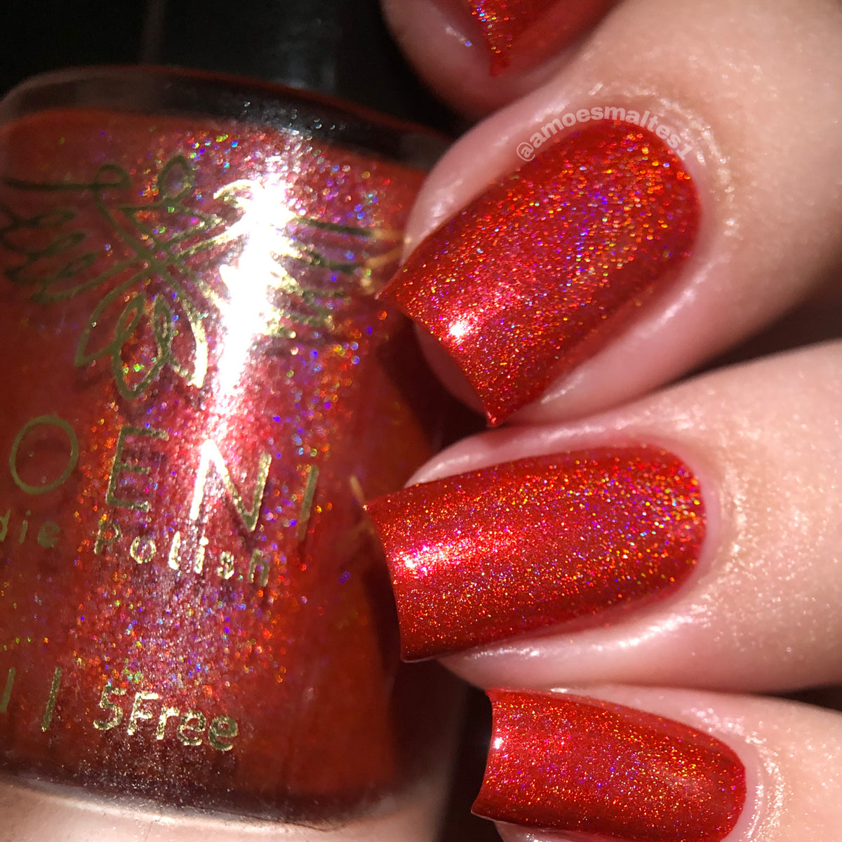 Phoenix- Blood and Fire- Meleys