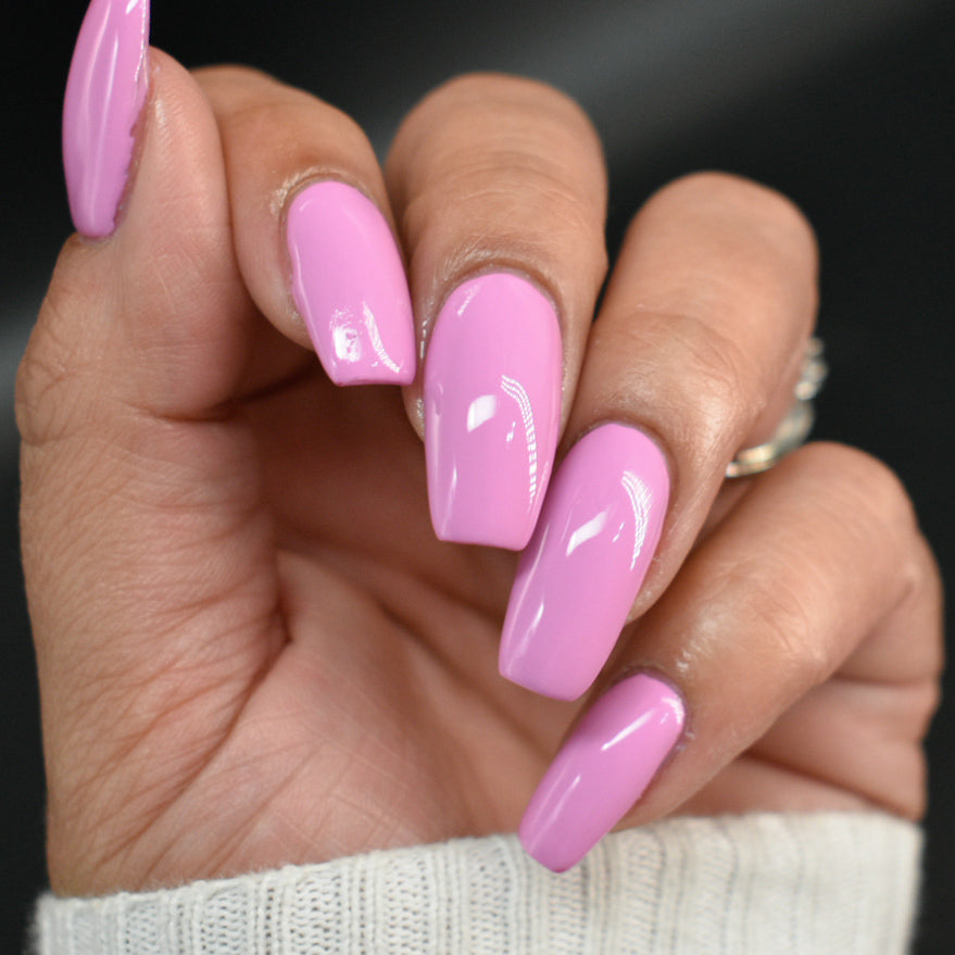 Hit the Bottle- Follow Your Dreams- Fuchsia Awakening