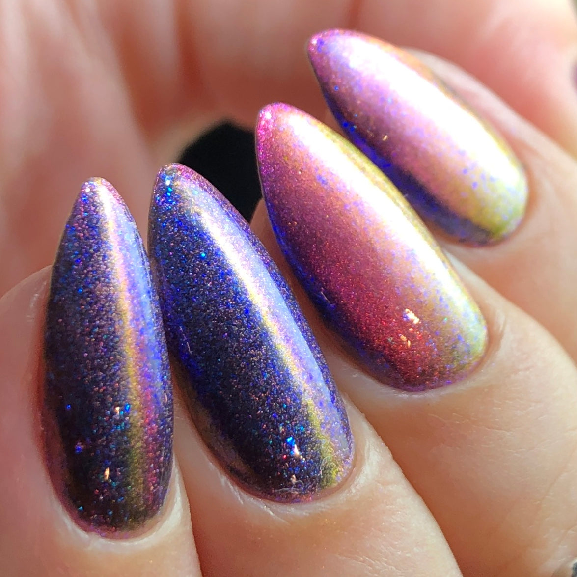 Phoenix- Light &amp; Shadow- Dark Enchanted