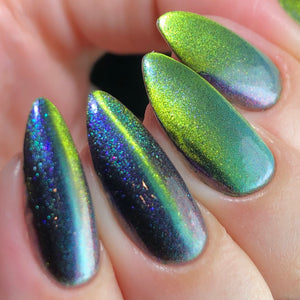 Phoenix- Light & Shadow- Throne of Shadow