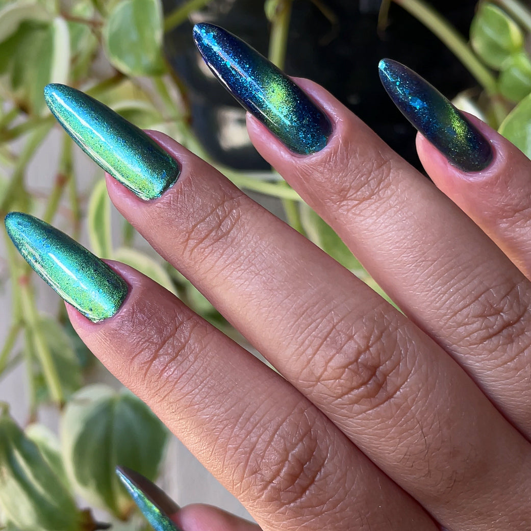 Phoenix- Interstellar- Earth