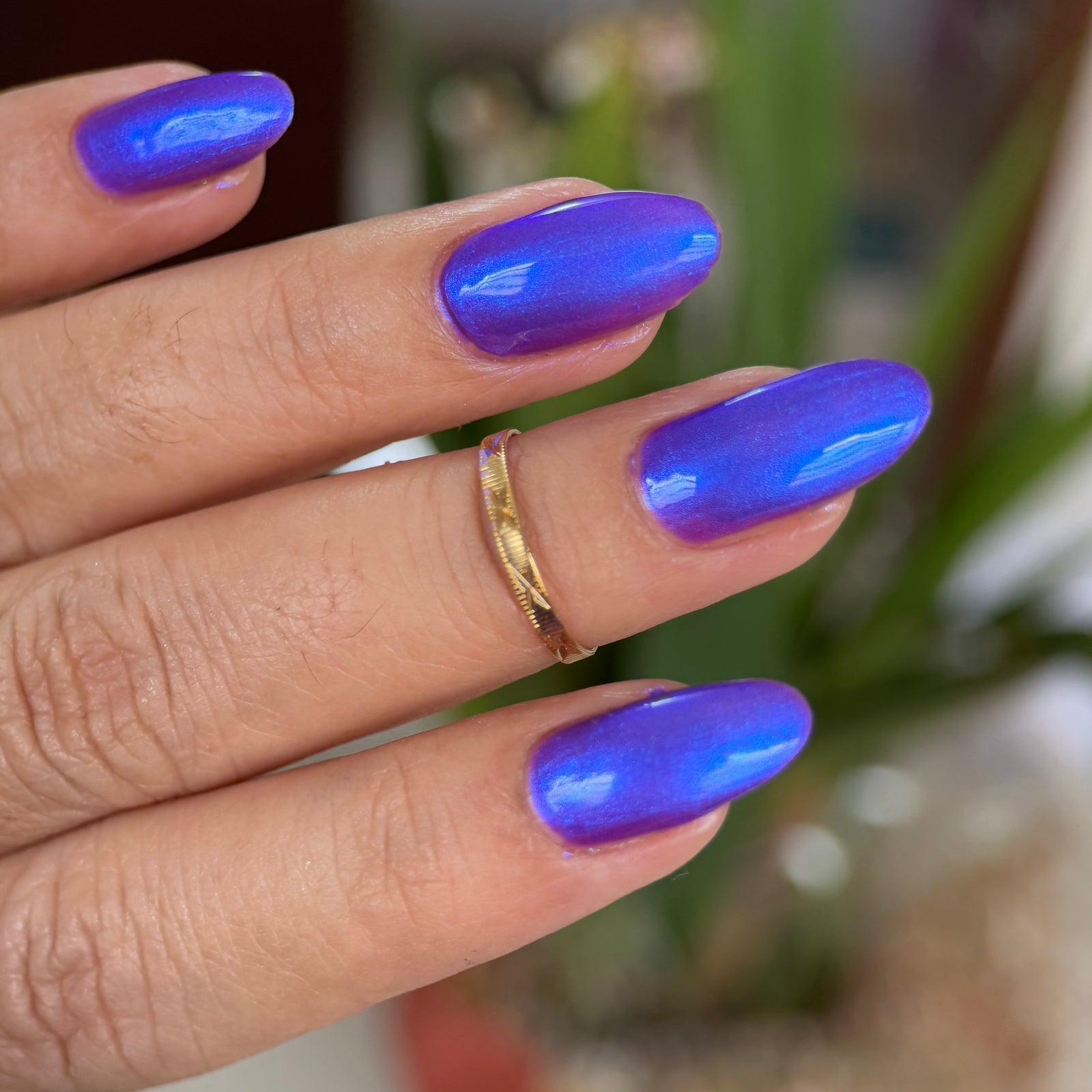 Phoenix- The Labyrinth- I Wish...