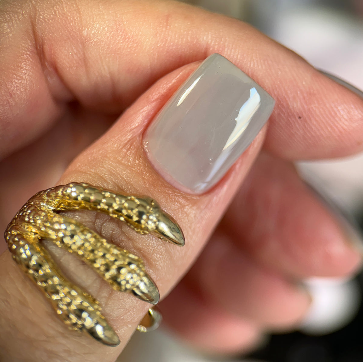 Phoenix- Blood and Fire- Laenor