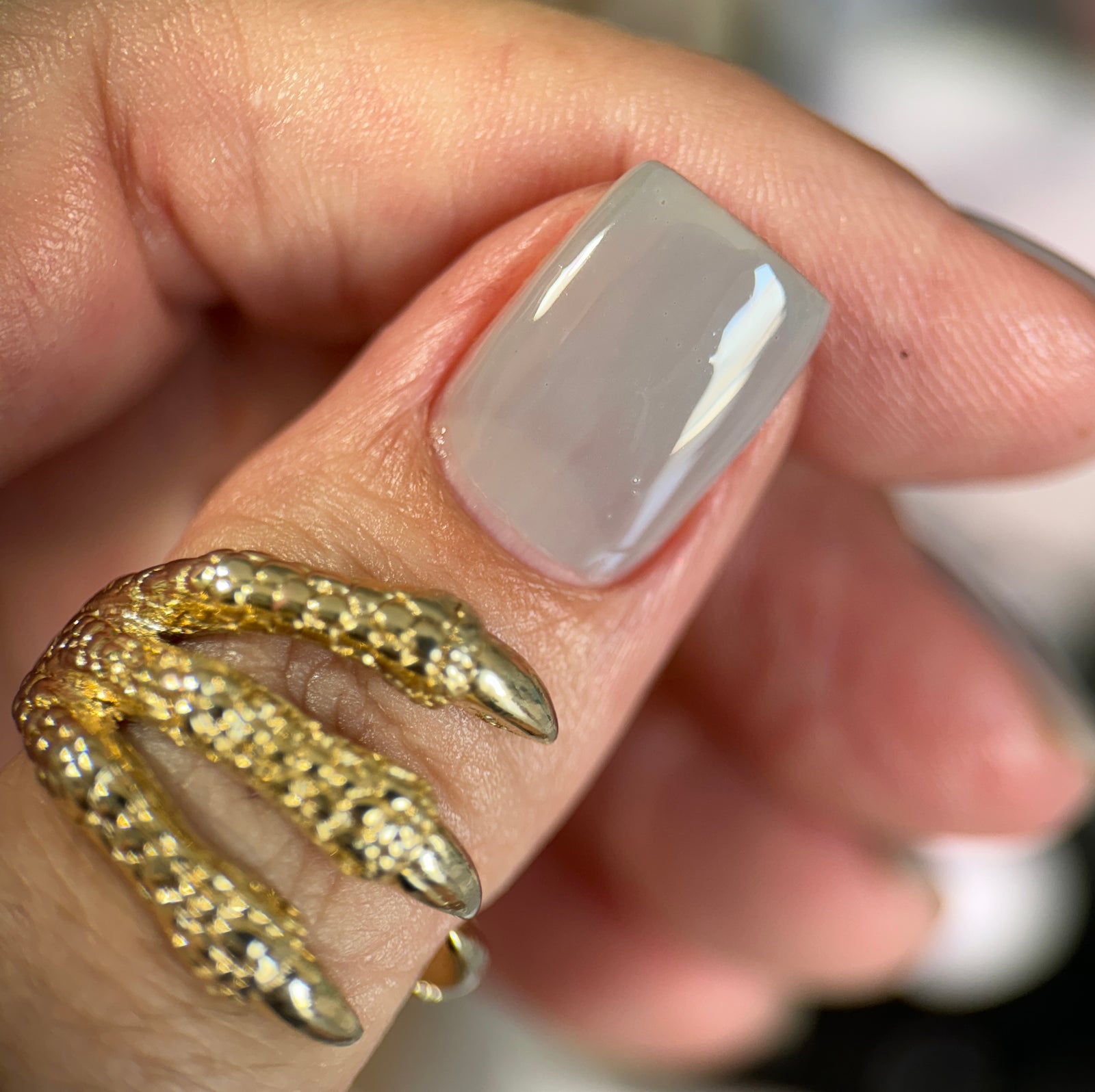 Phoenix- Blood and Fire- Laenor