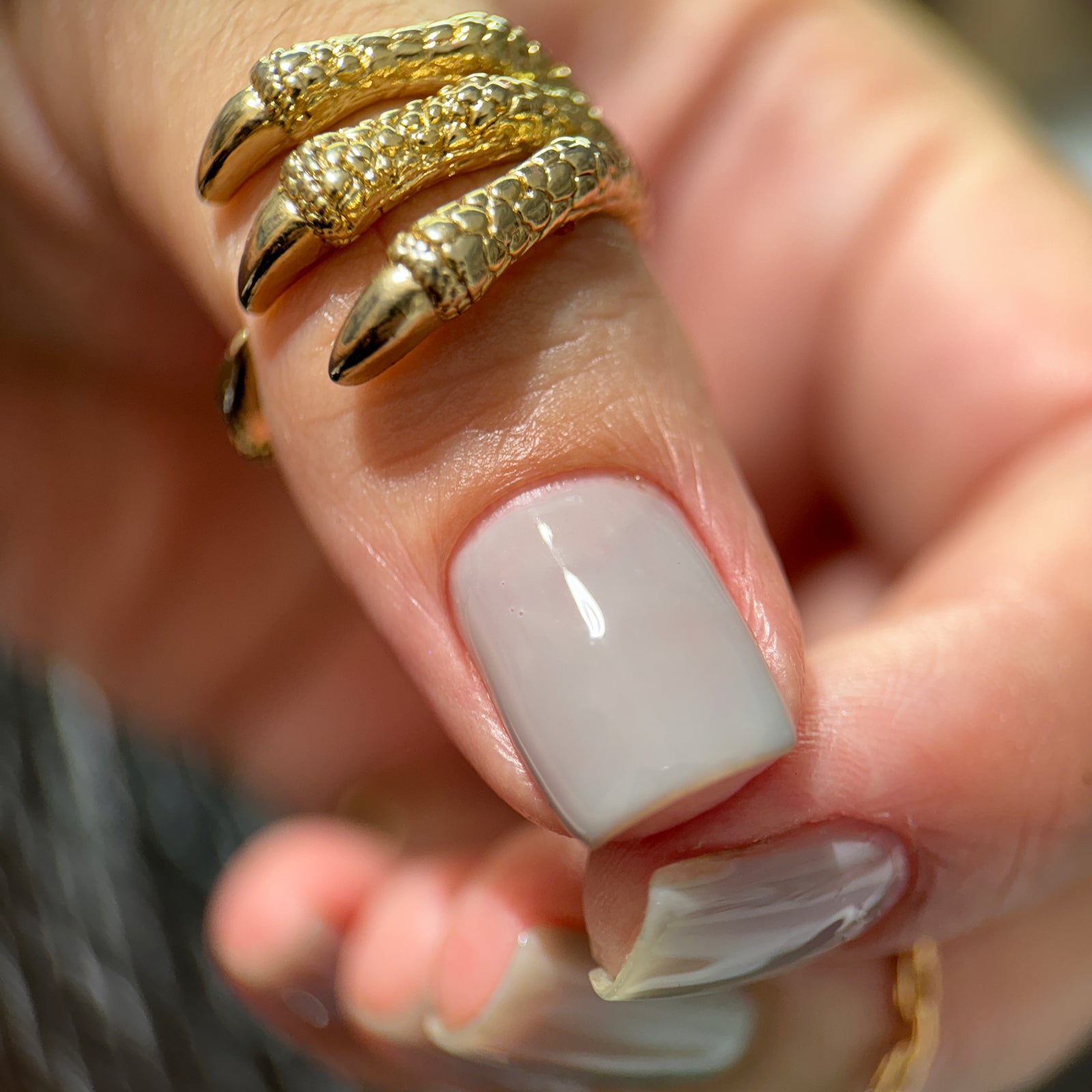 Phoenix- Blood and Fire- Laenor