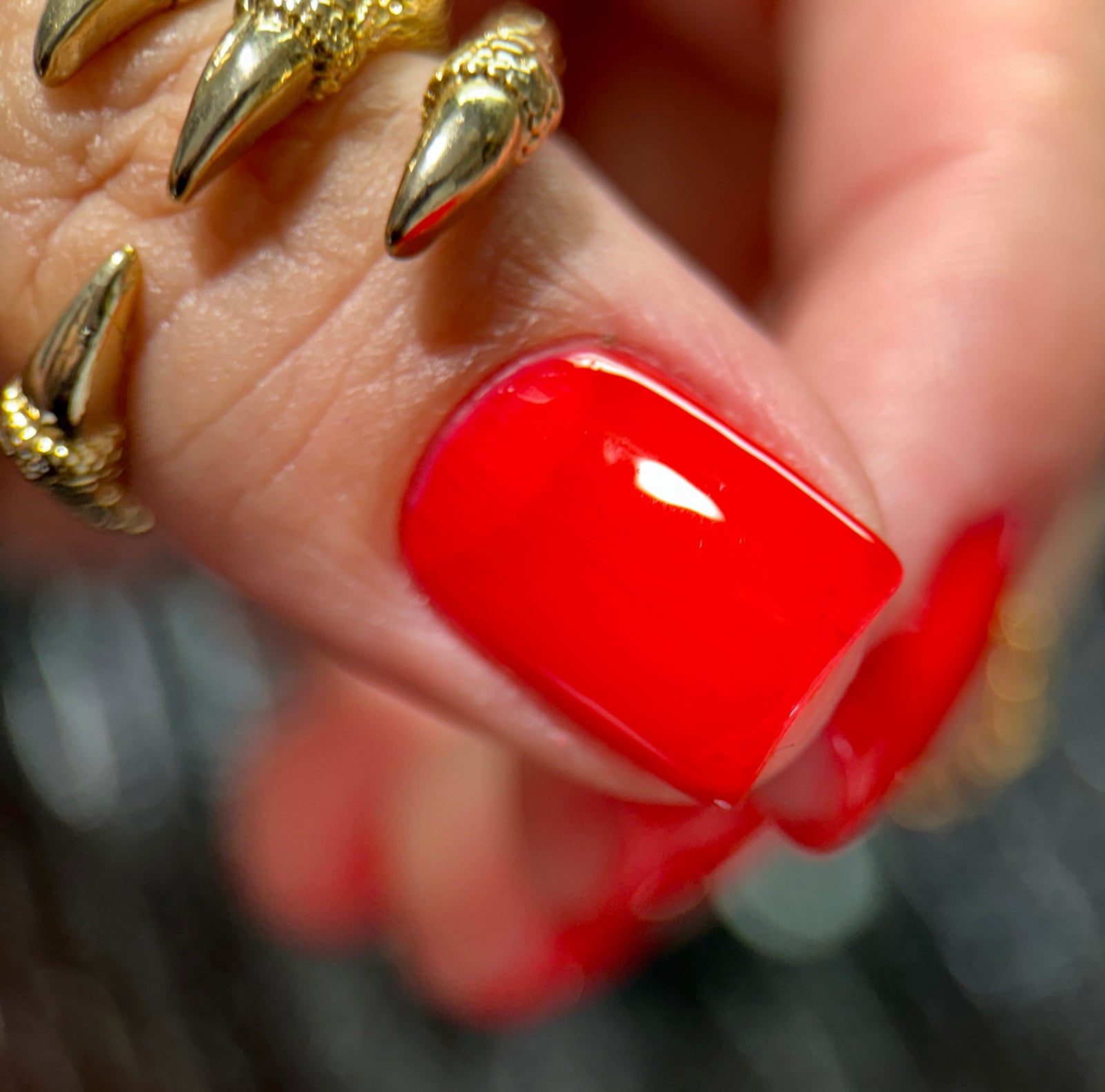 Phoenix- Blood and Fire- Rhaenys