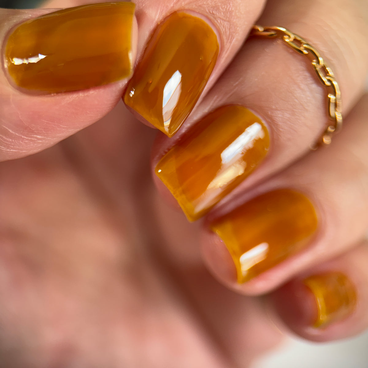 Phoenix- Blood and Fire- Rhaenyra