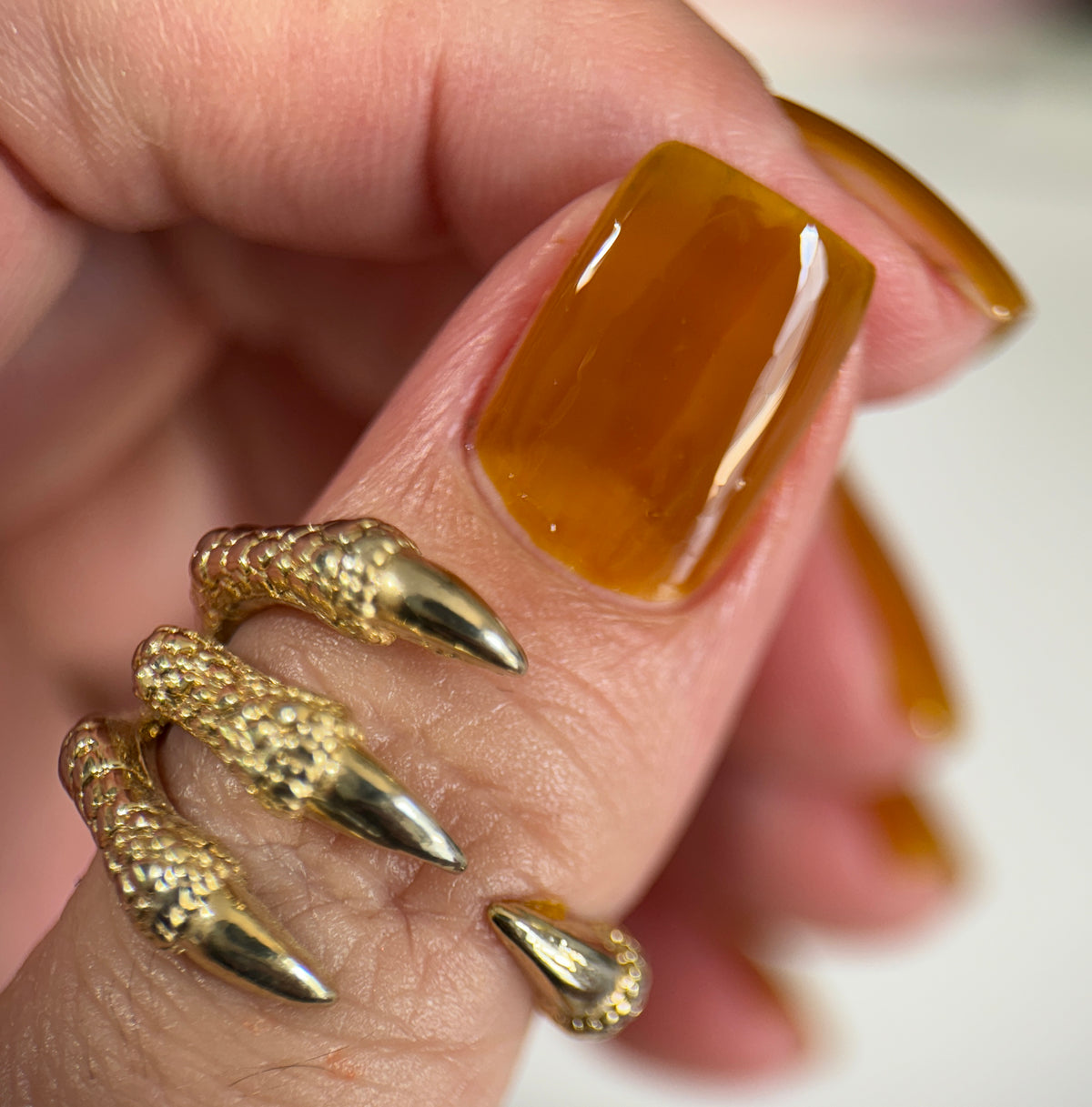 Phoenix- Blood and Fire- Rhaenyra