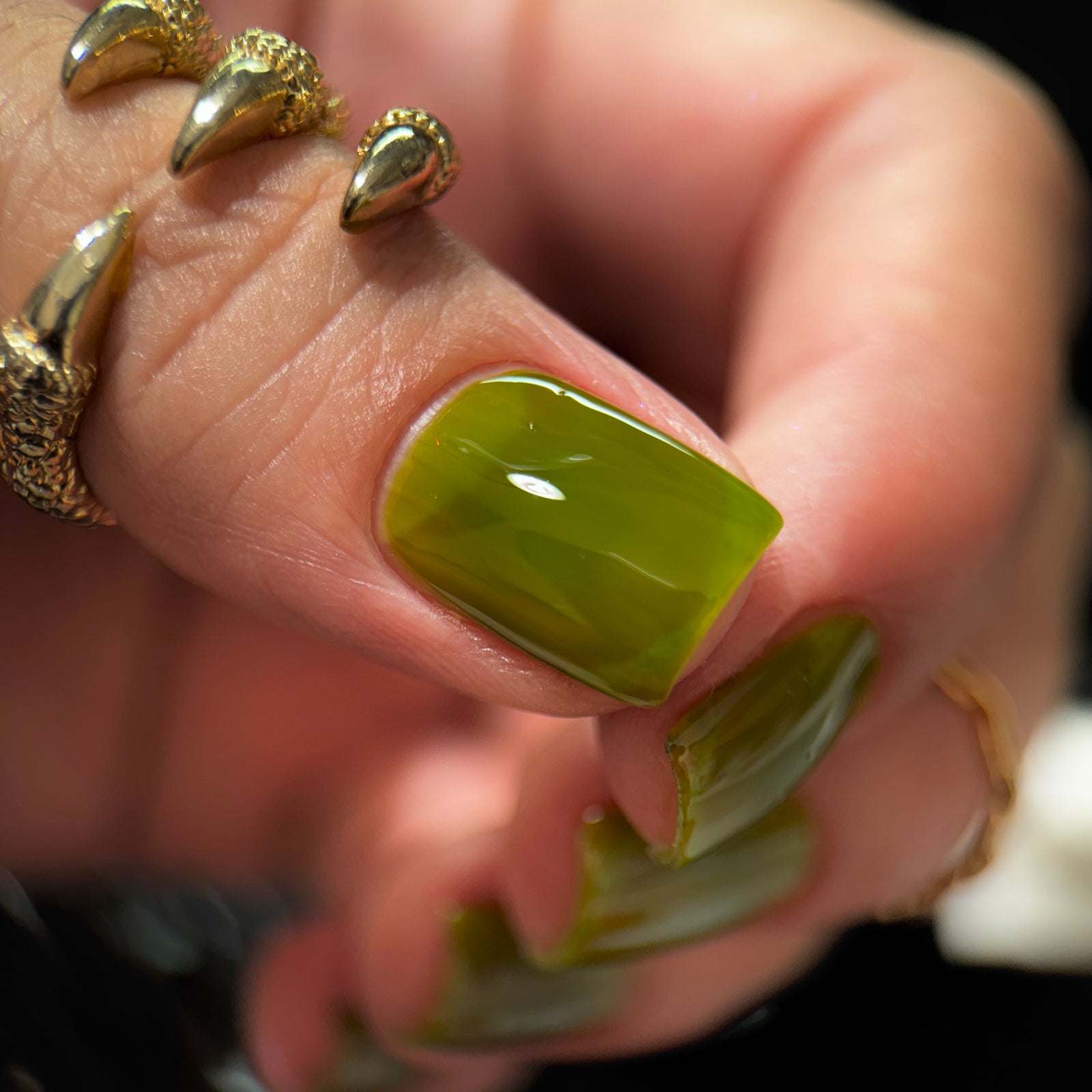 Phoenix- Blood and Fire- Jacaerys