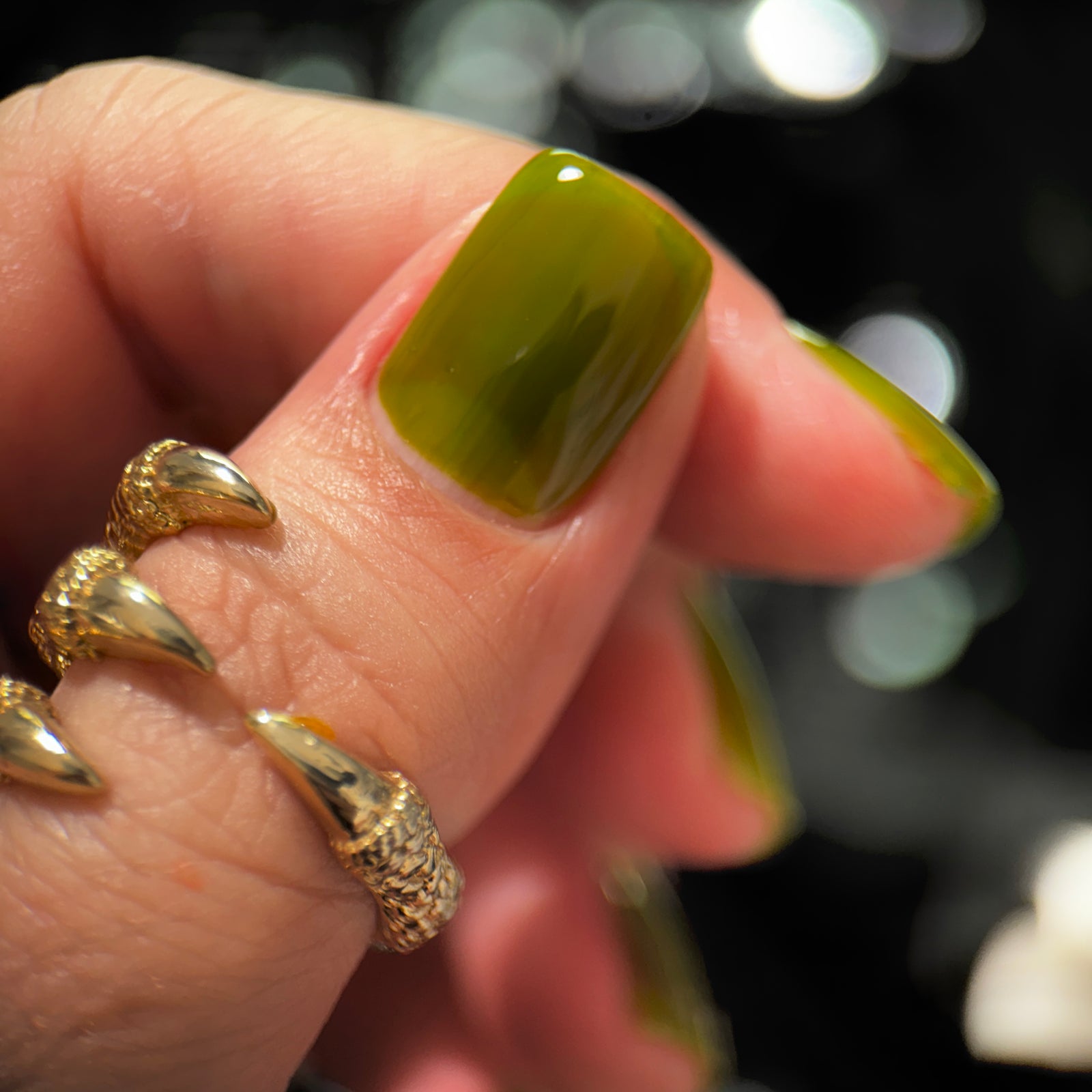 Phoenix- Blood and Fire- Jacaerys