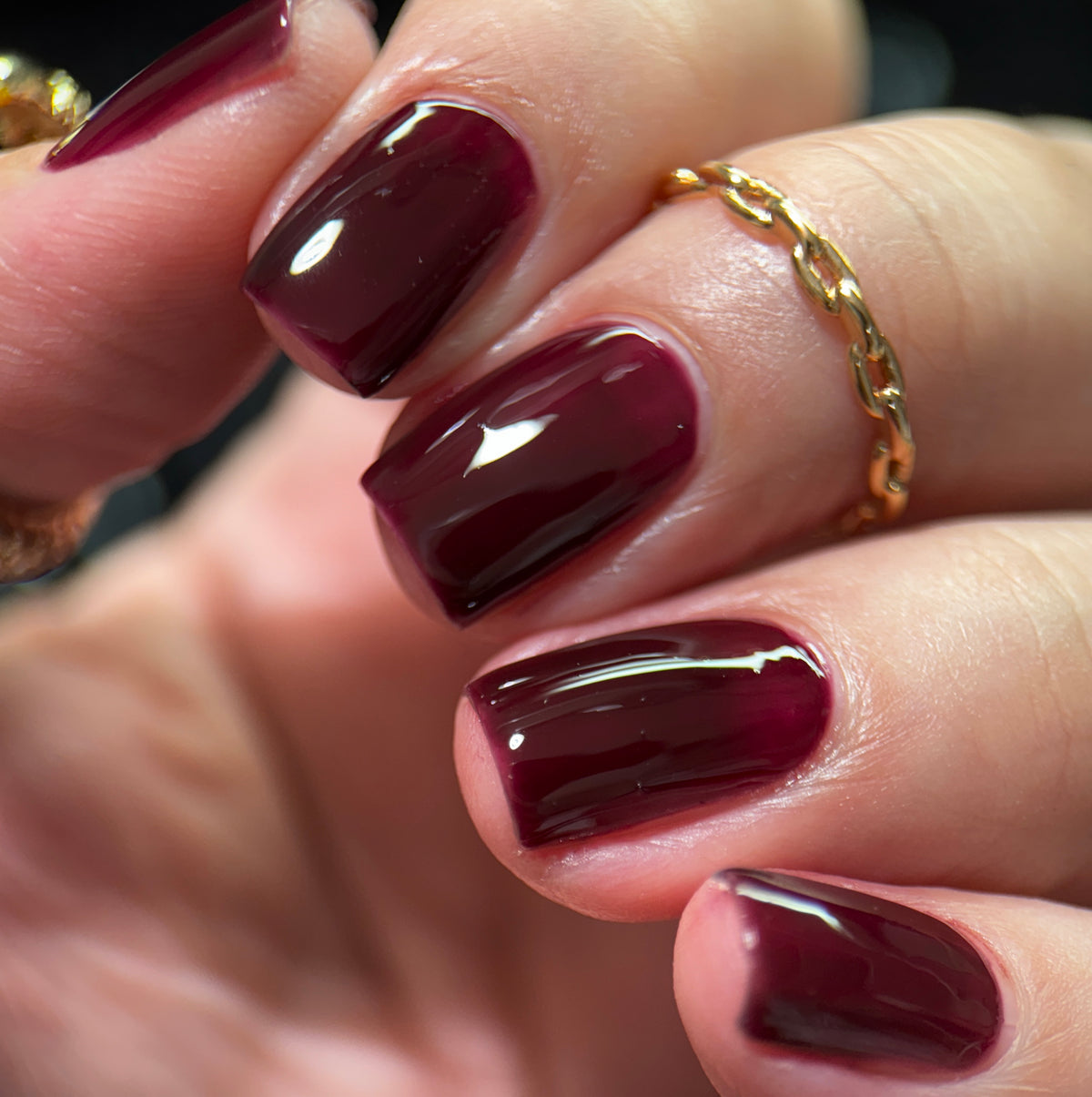 Phoenix- Blood and Fire- Daemon