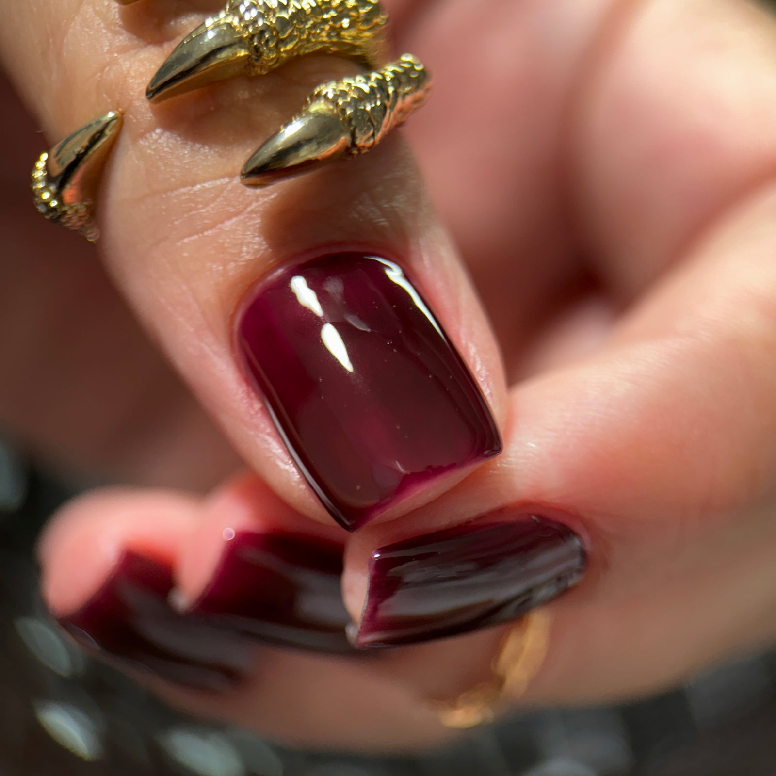 Phoenix- Blood and Fire- Daemon