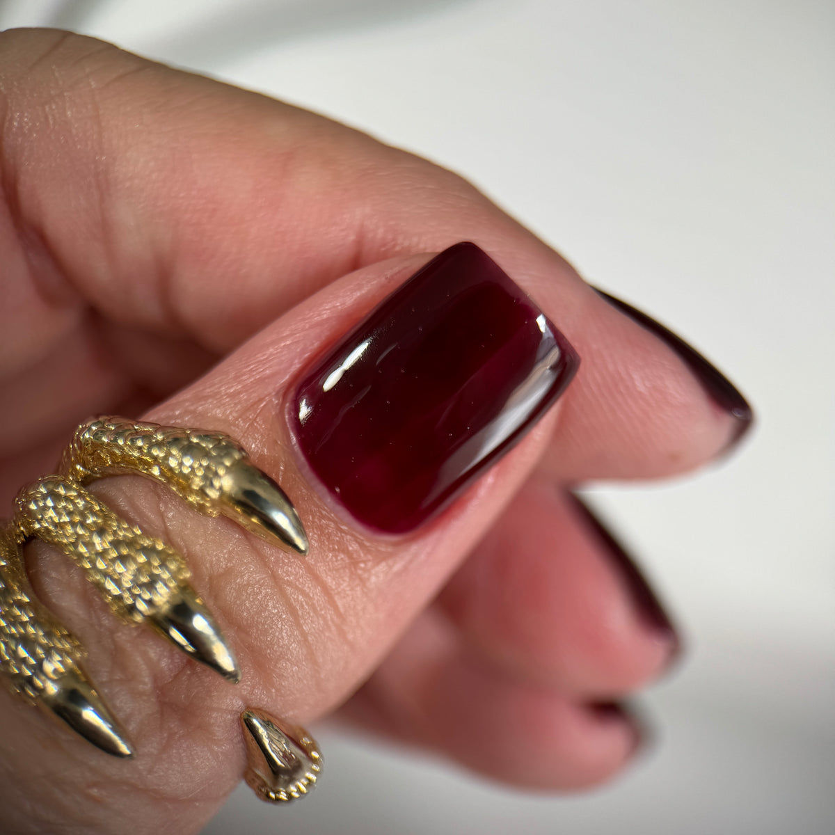 Phoenix- Blood and Fire- Daemon