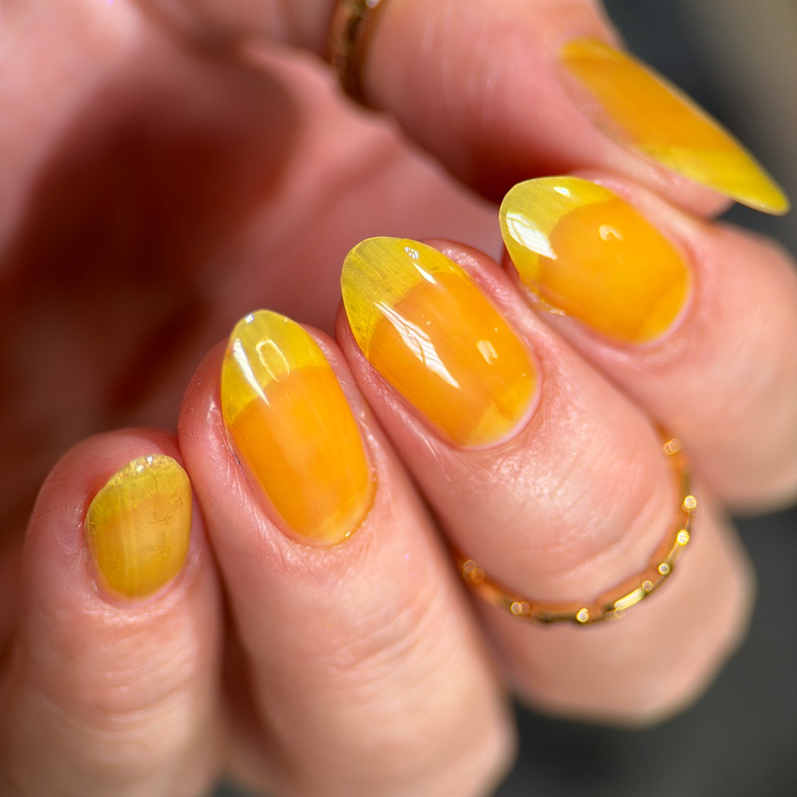 Phoenix- Jelly Dreams- Jelly Beam