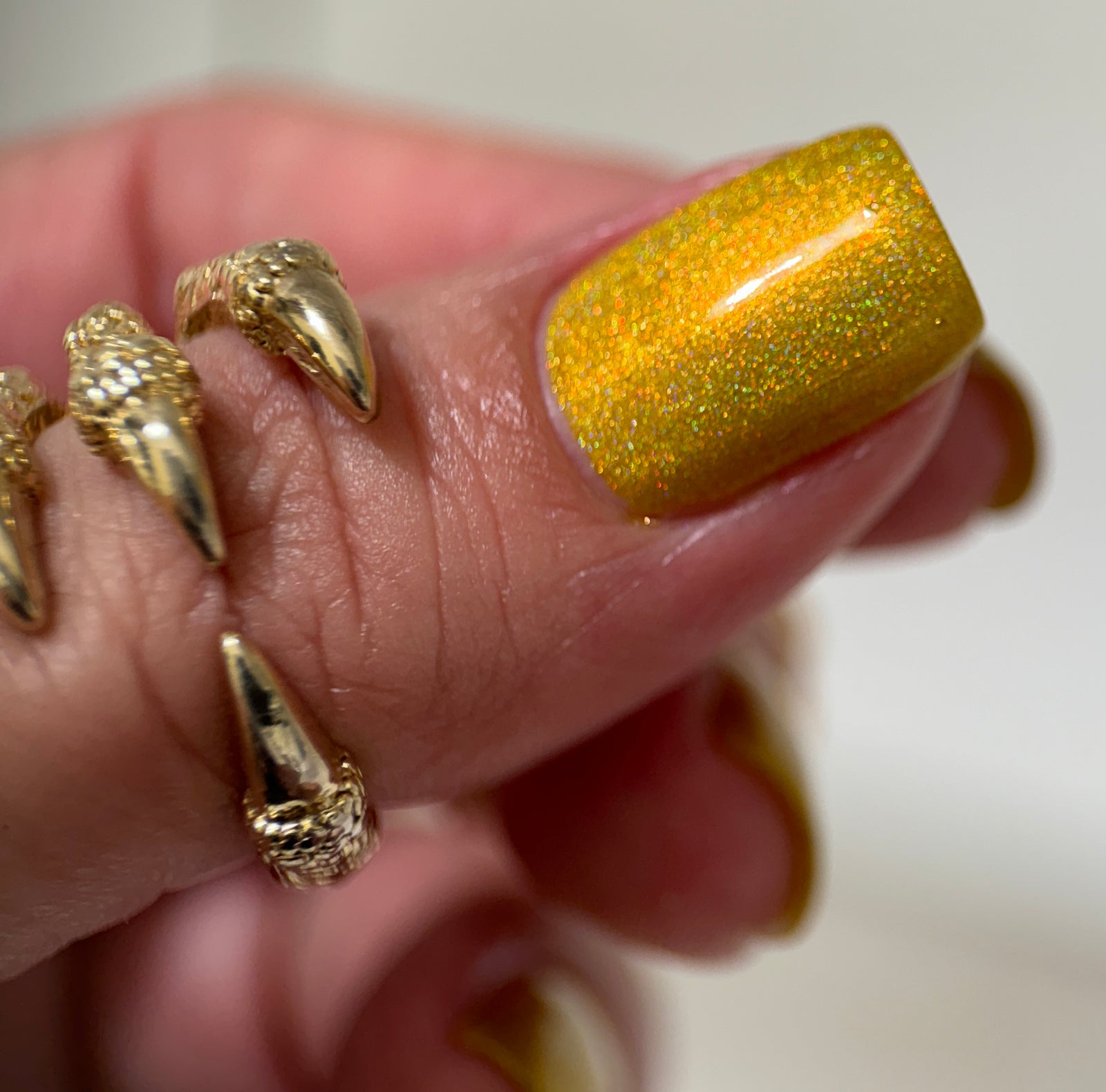 Phoenix- Blood and Fire- Sunfyre