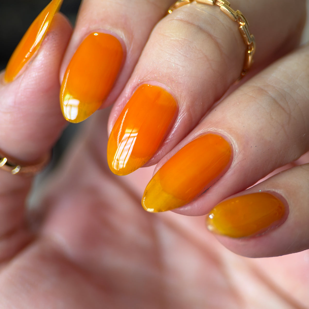 Phoenix- Jelly Dreams- Oran Jelly