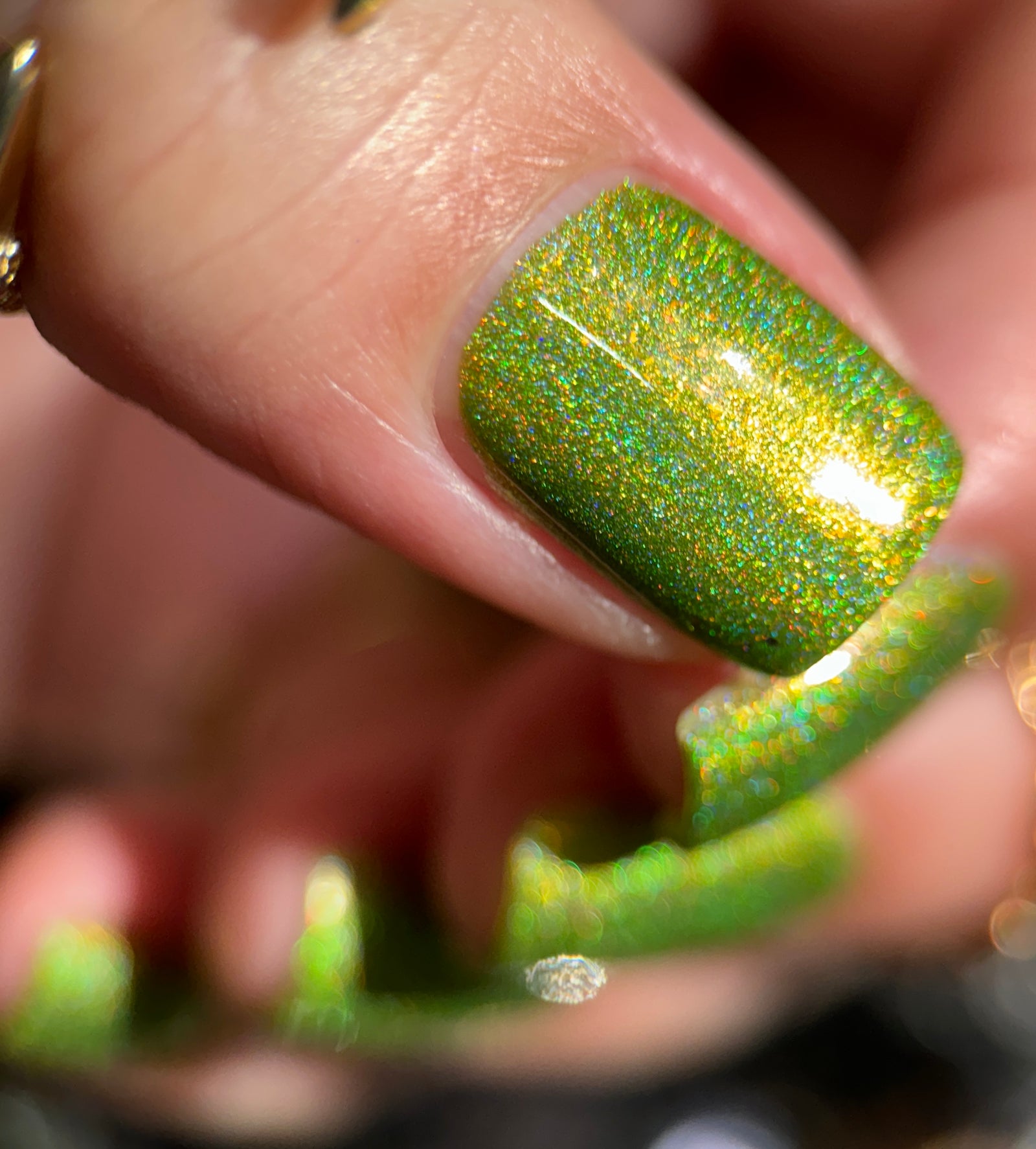 Phoenix- Blood and Fire- Vermax