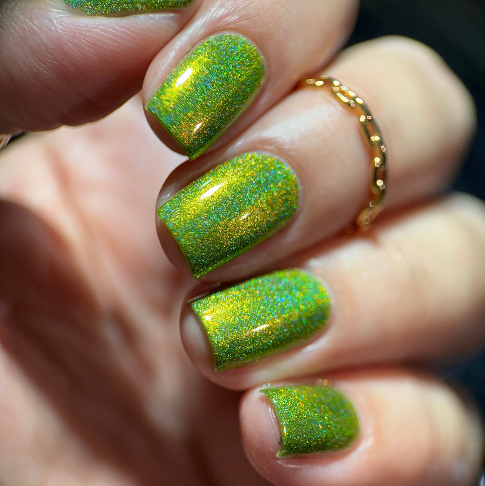 Phoenix- Blood and Fire- Vermax