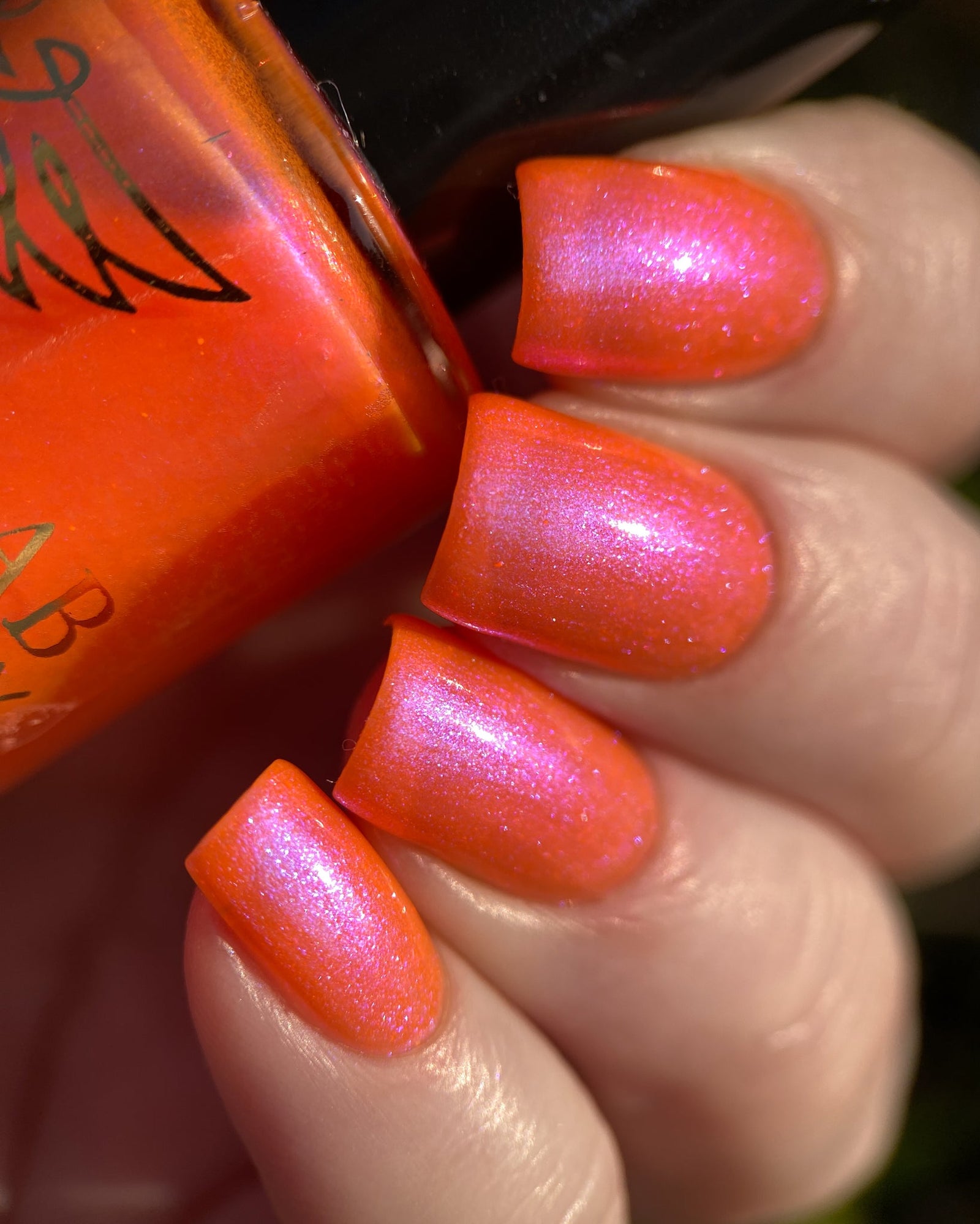 Phoenix- Paint the Town Red- Lucy