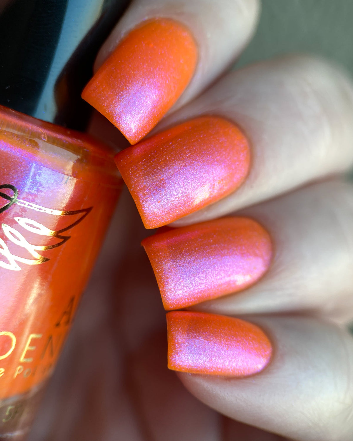 Phoenix- Paint the Town Red- Lucy