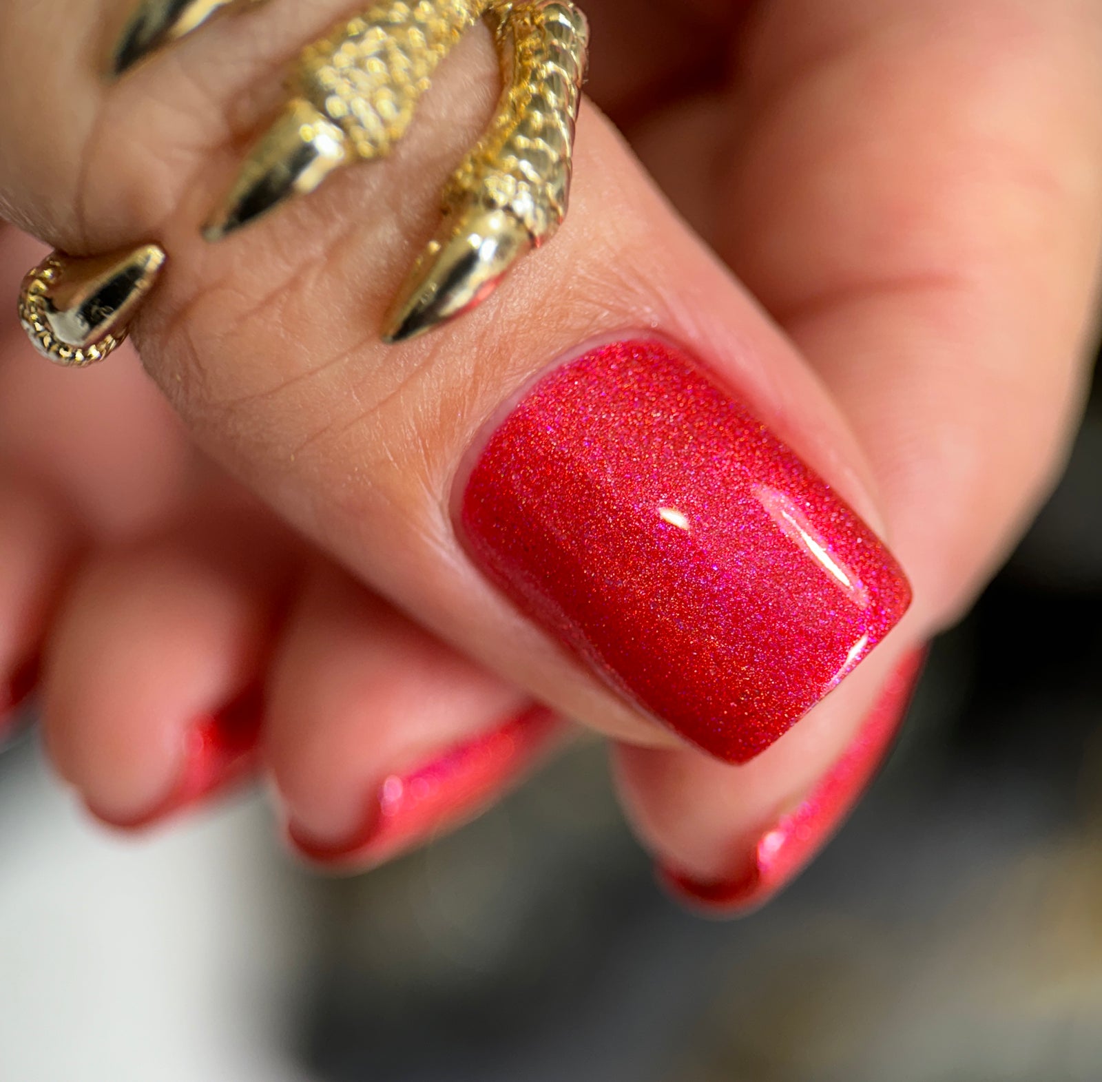 Phoenix- Blood and Fire- Meleys