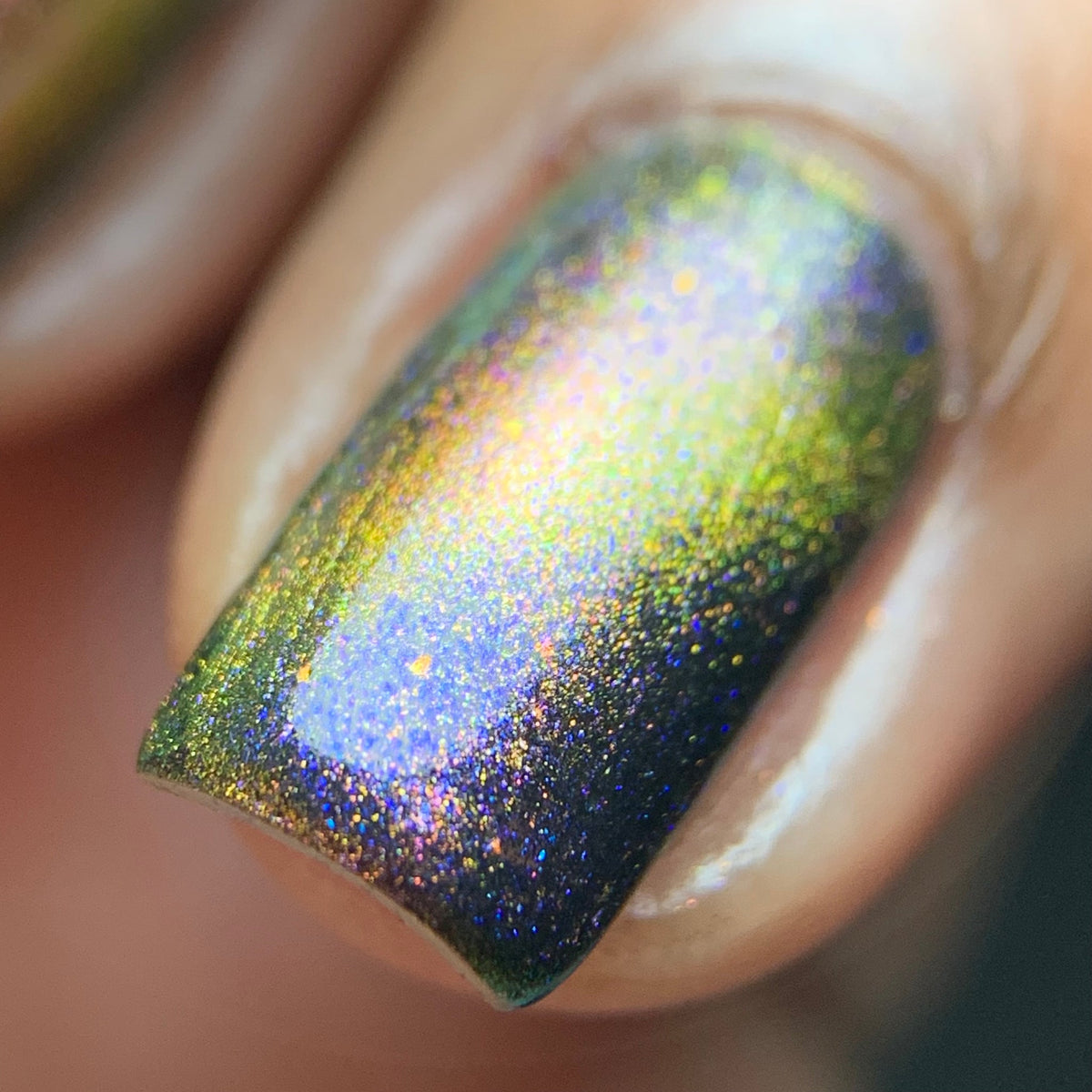 Phoenix- Paint the Town Red- Bill