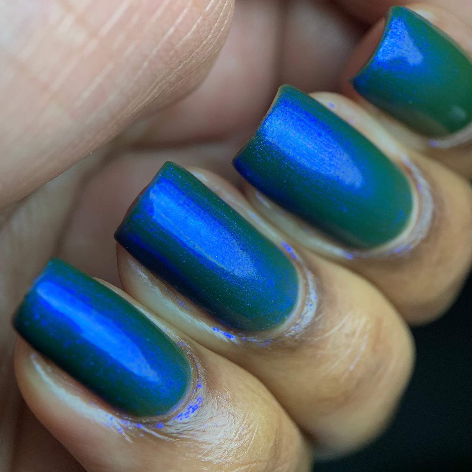 Phoenix- Paint the Town Red- Lestat