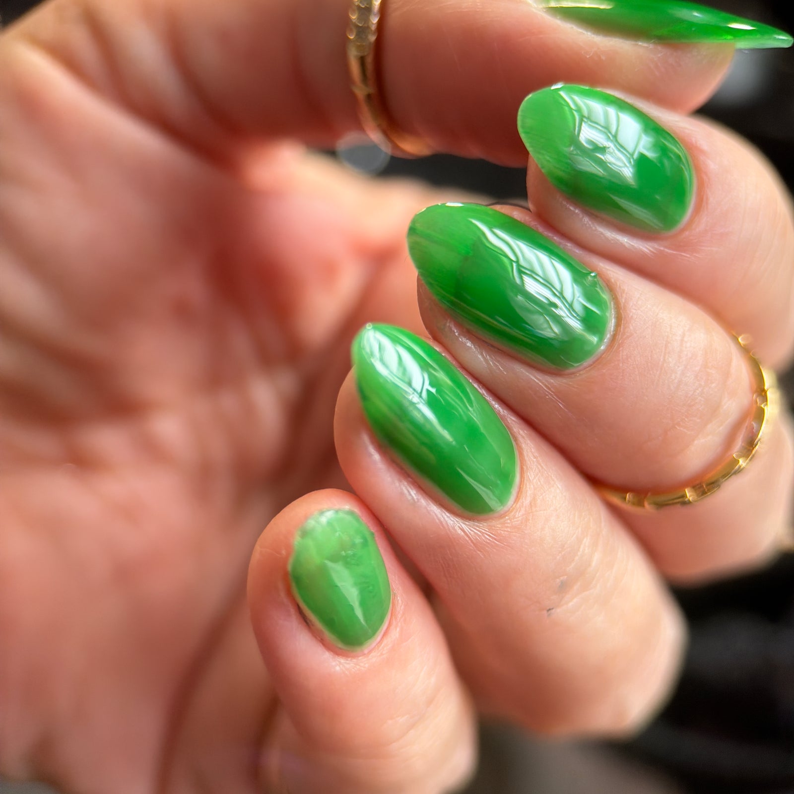 Phoenix- Jelly Dreams- Jelly Leaf