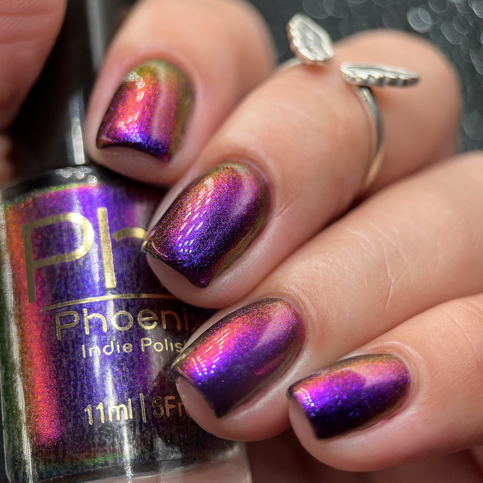 Phoenix- Hummingbirds- Costa's Hummingbird