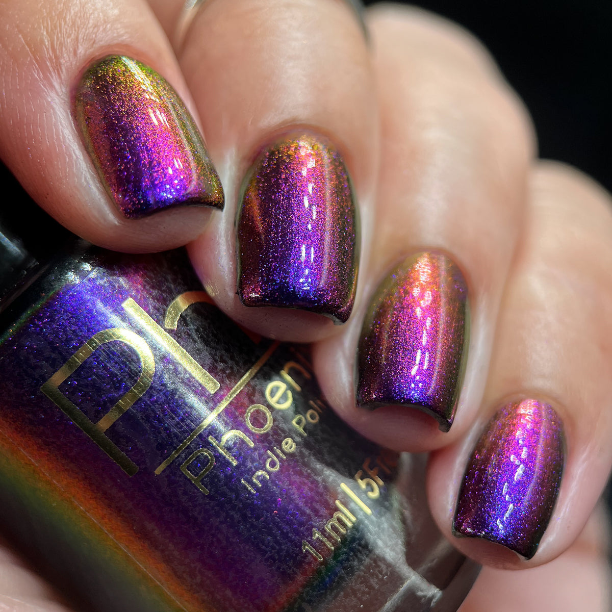 Phoenix- Hummingbirds- Costa&#39;s Hummingbird